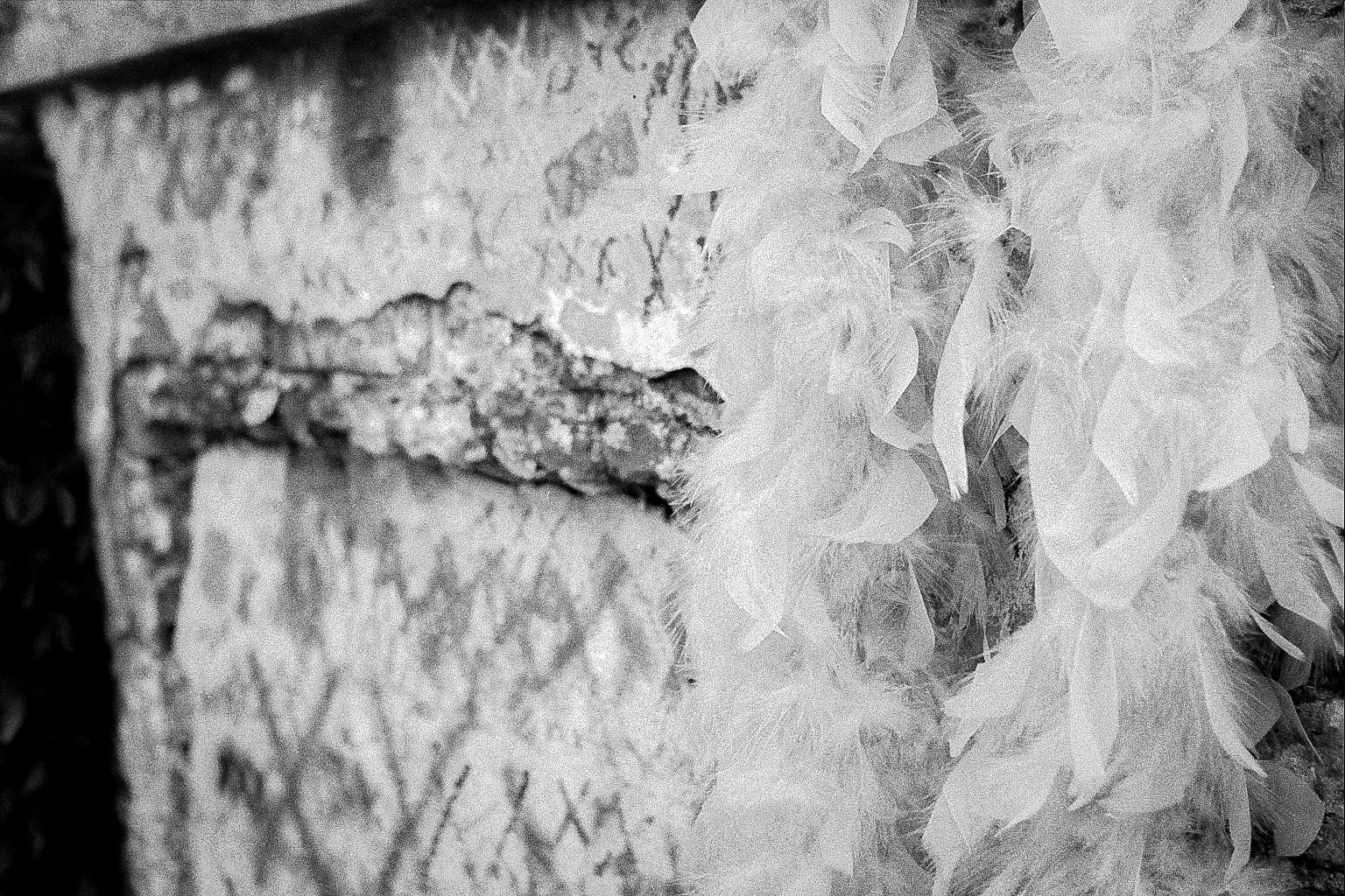 Autosave-File vom d-lab2/3 der AgfaPhoto GmbH