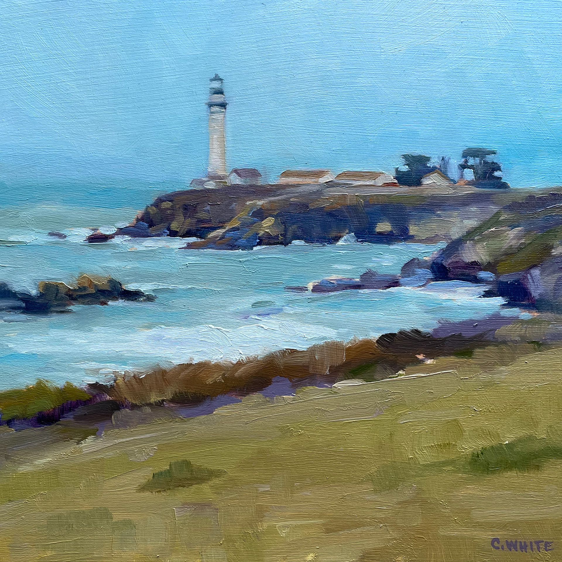 pigeon point 10" X10 " OIL ON PANEL