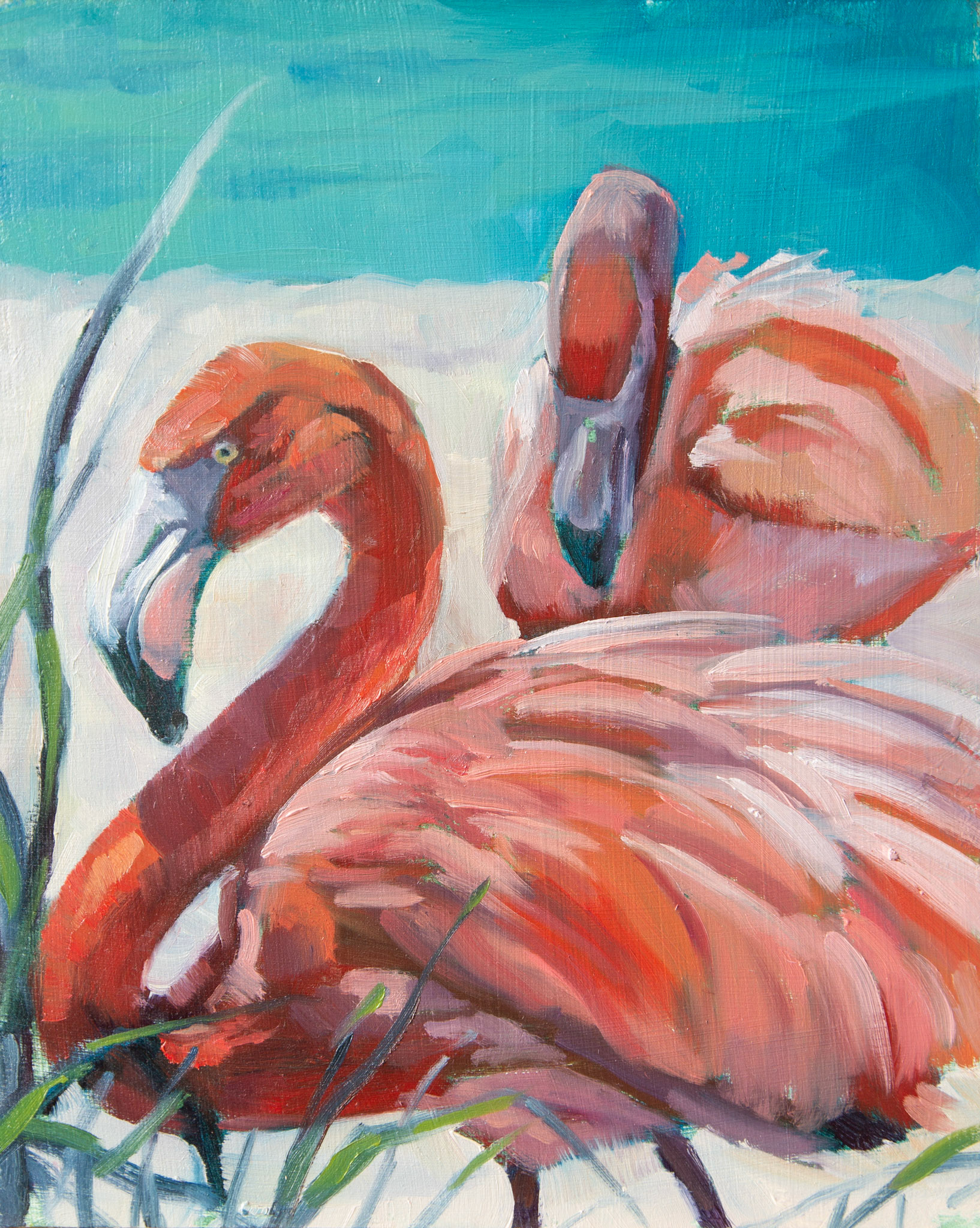 flamingo couple 8" X 10" OIL ON PANEL