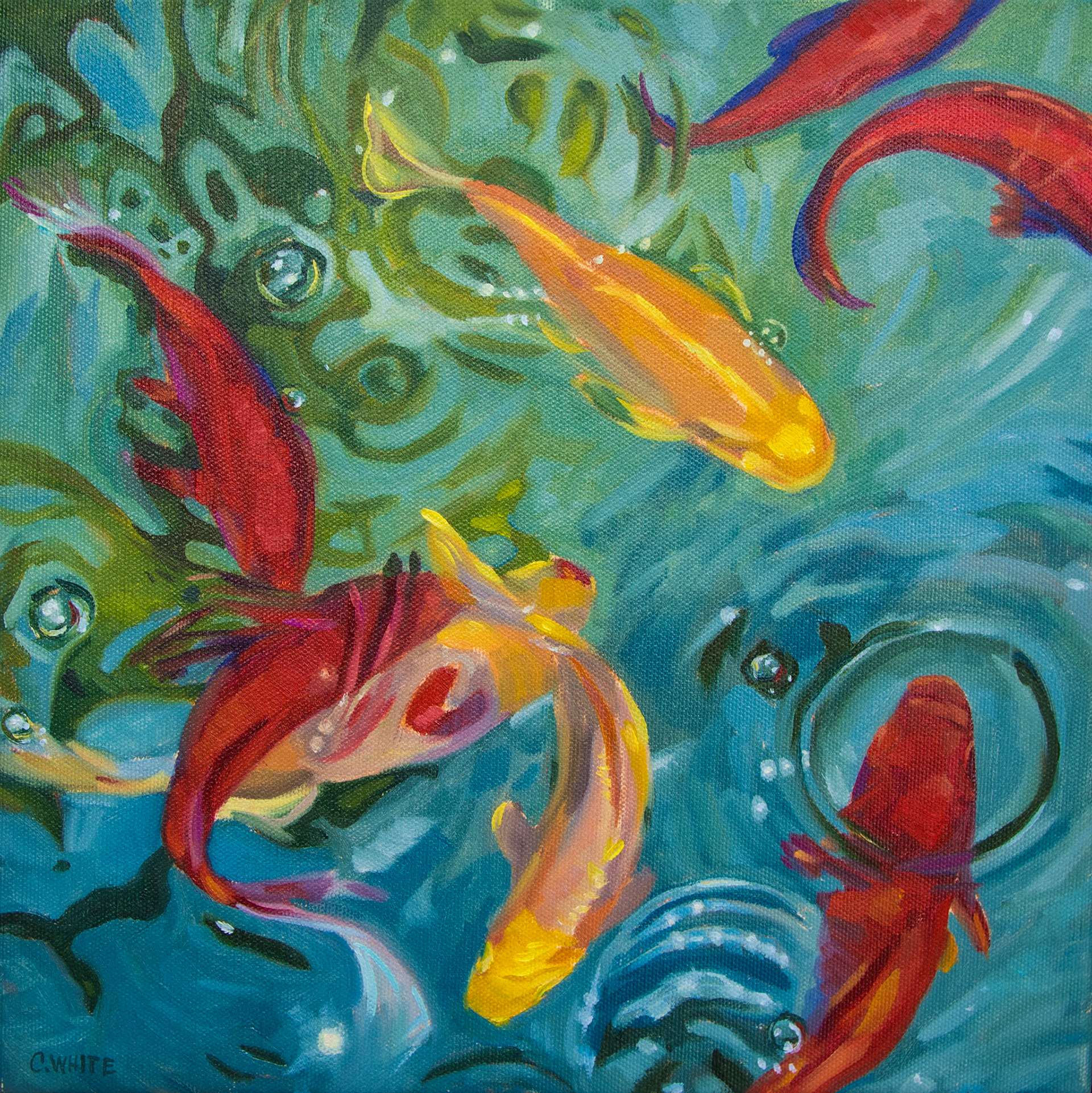 koi 12" X 12" OIL ON CANVAS