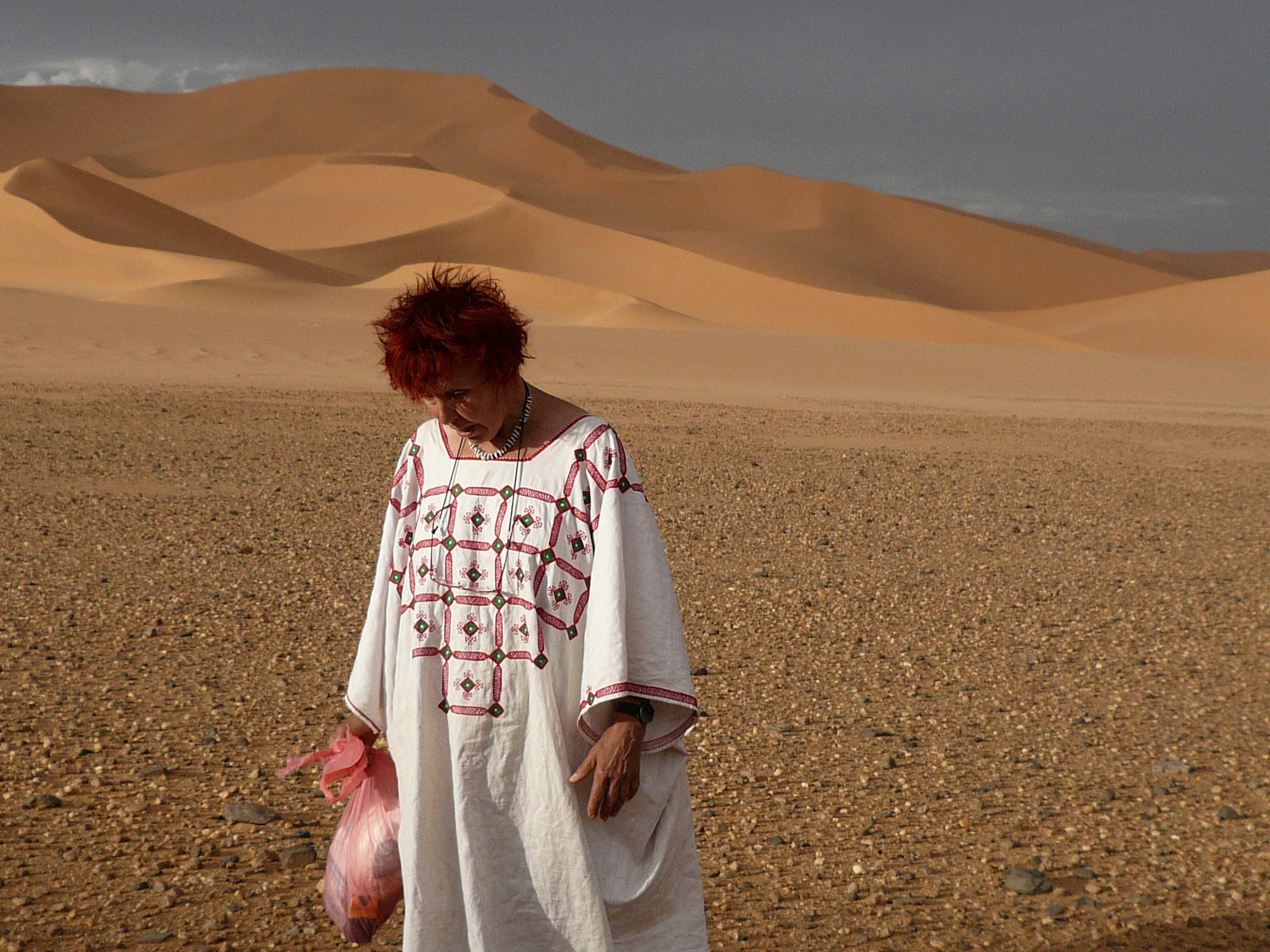 Dans l'Ahnet. Algérie. 2008
