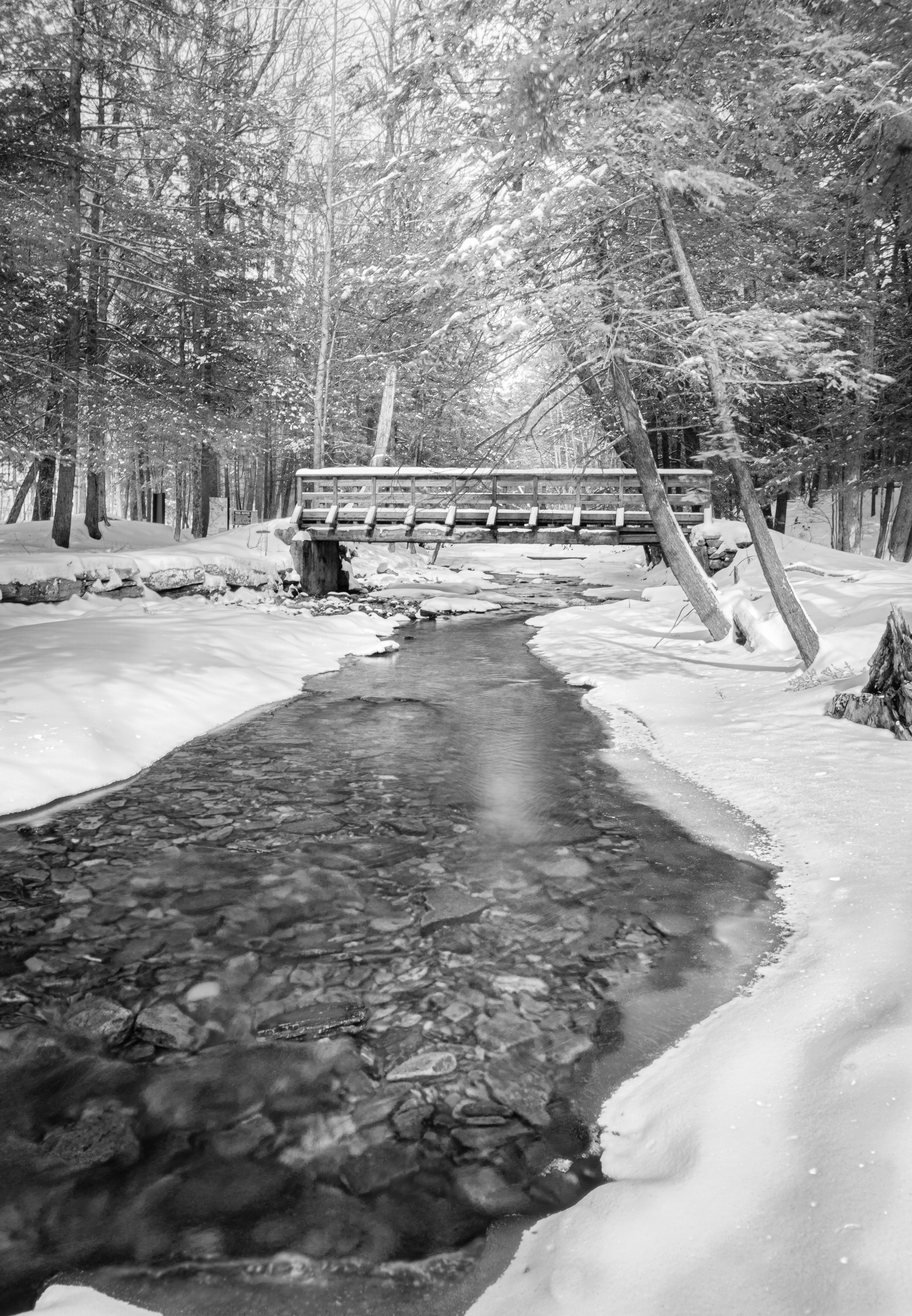 Rickett's Glen State Park, PA