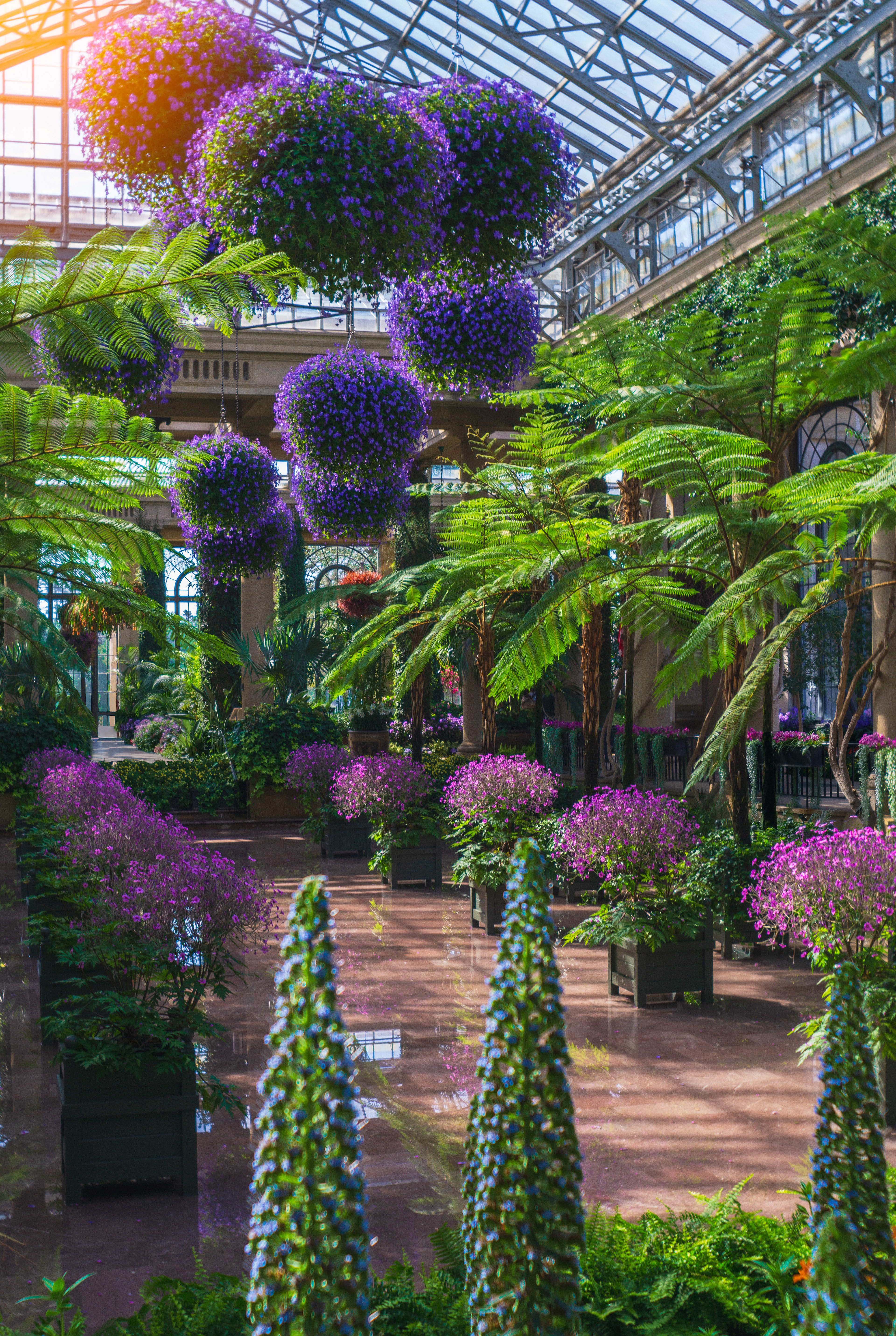 Conseervatory at Longwood Gardens