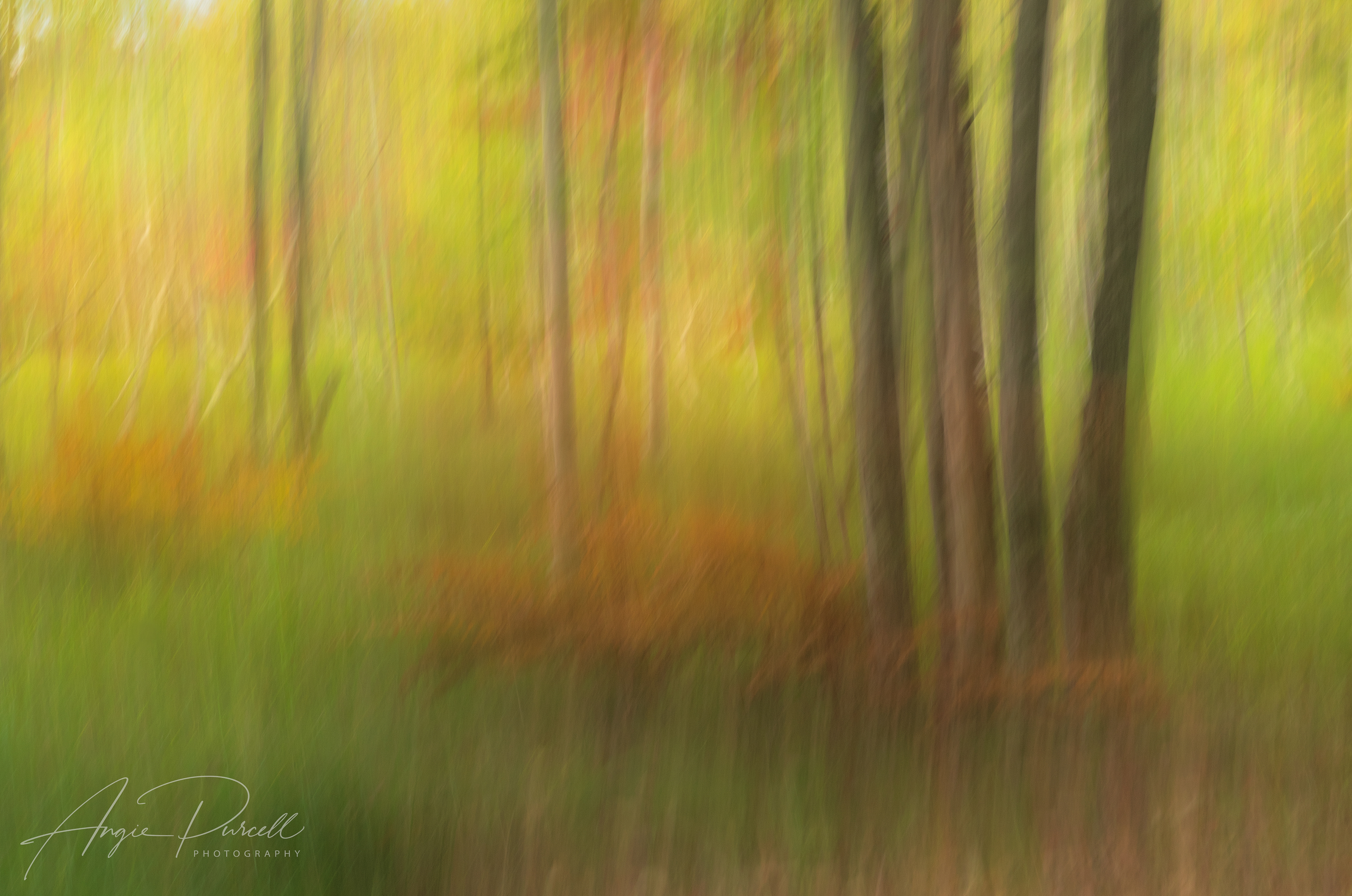 Changing Acadia Color Vertical Pan ICM