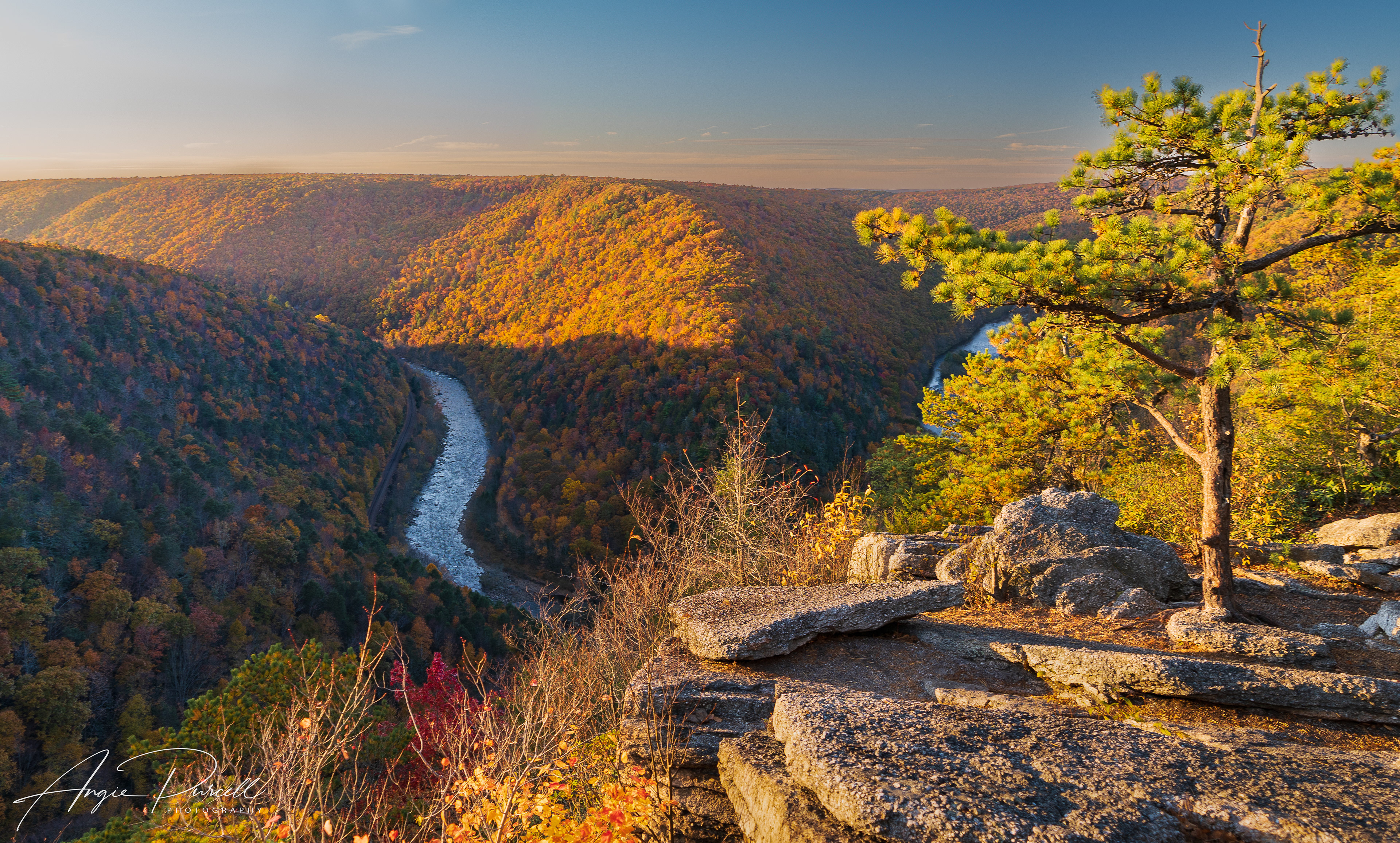 Tank Hollow Overlook, Lehigh Gorge State Park