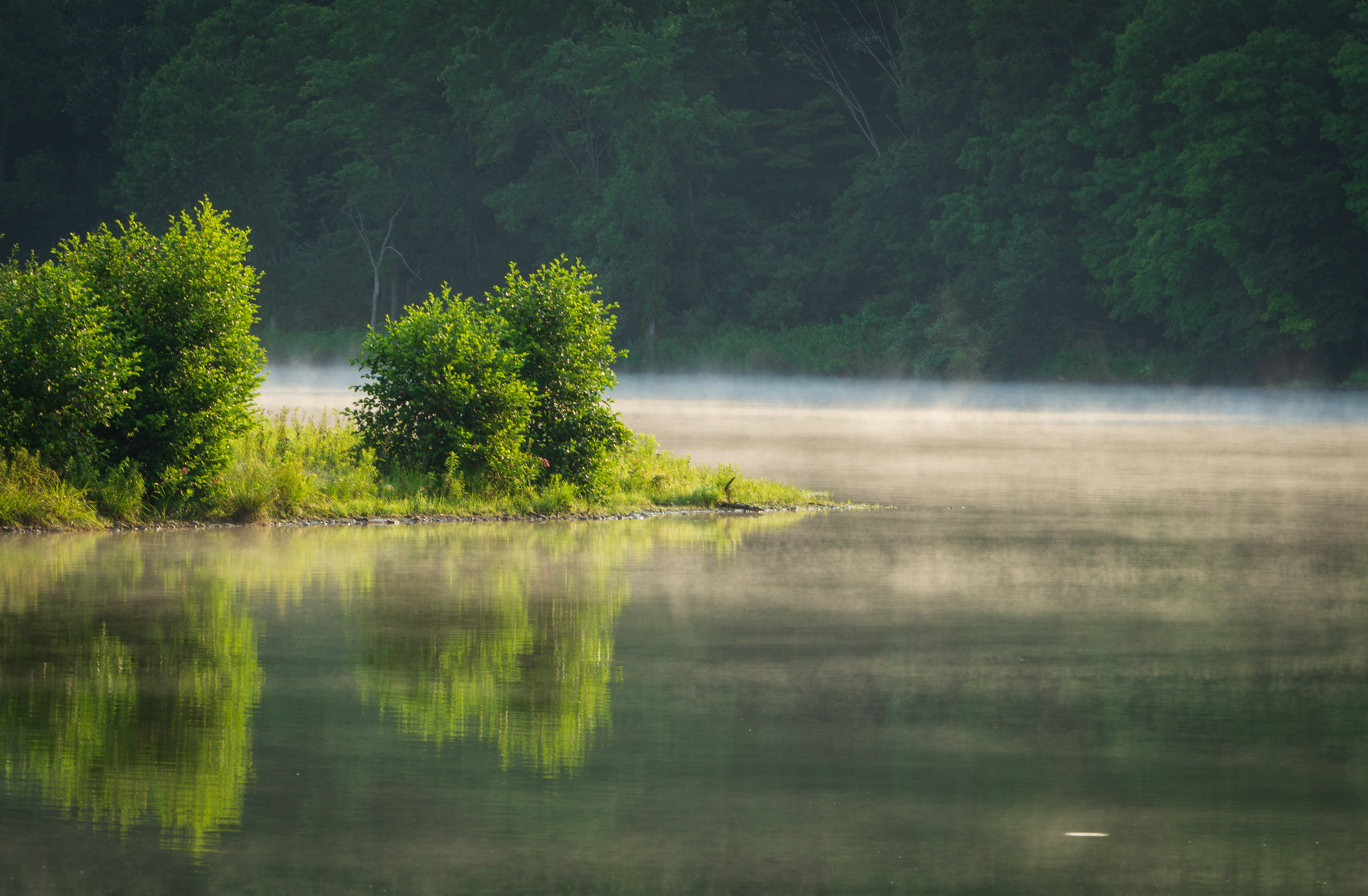 Mist rising off Lake Chillisuaque, Danville, PA