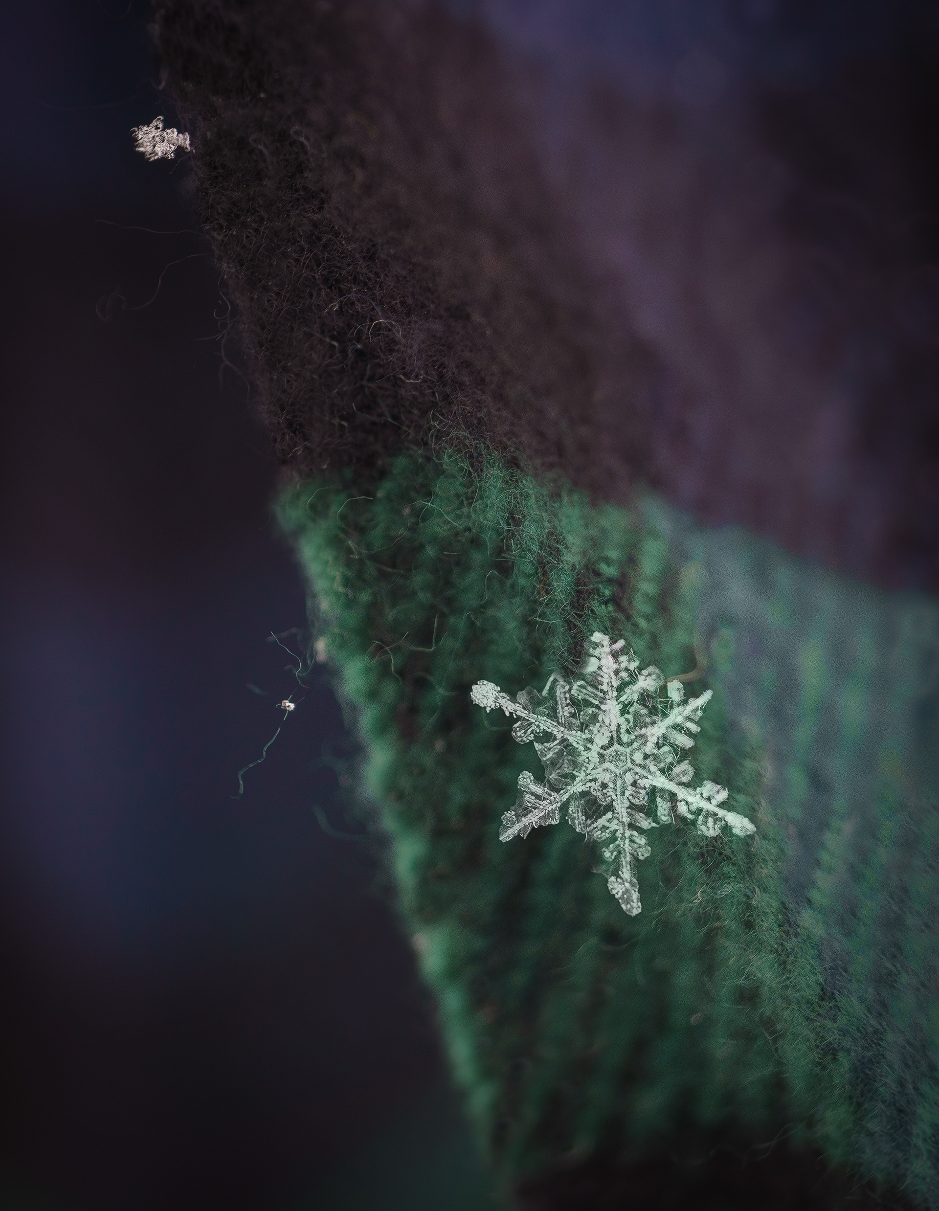 Snowy Tartan