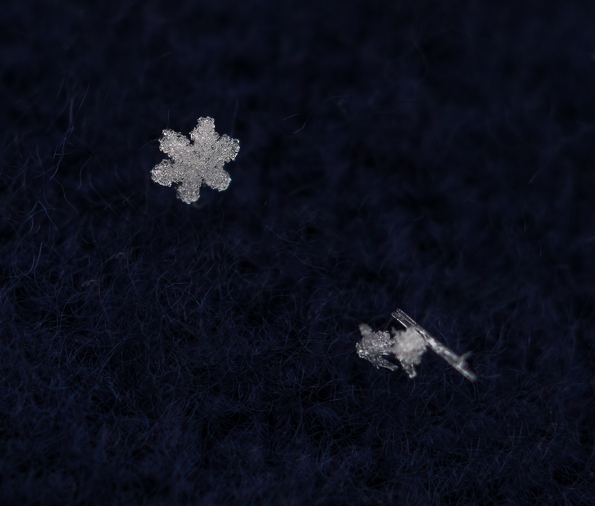 Icy Snowflake