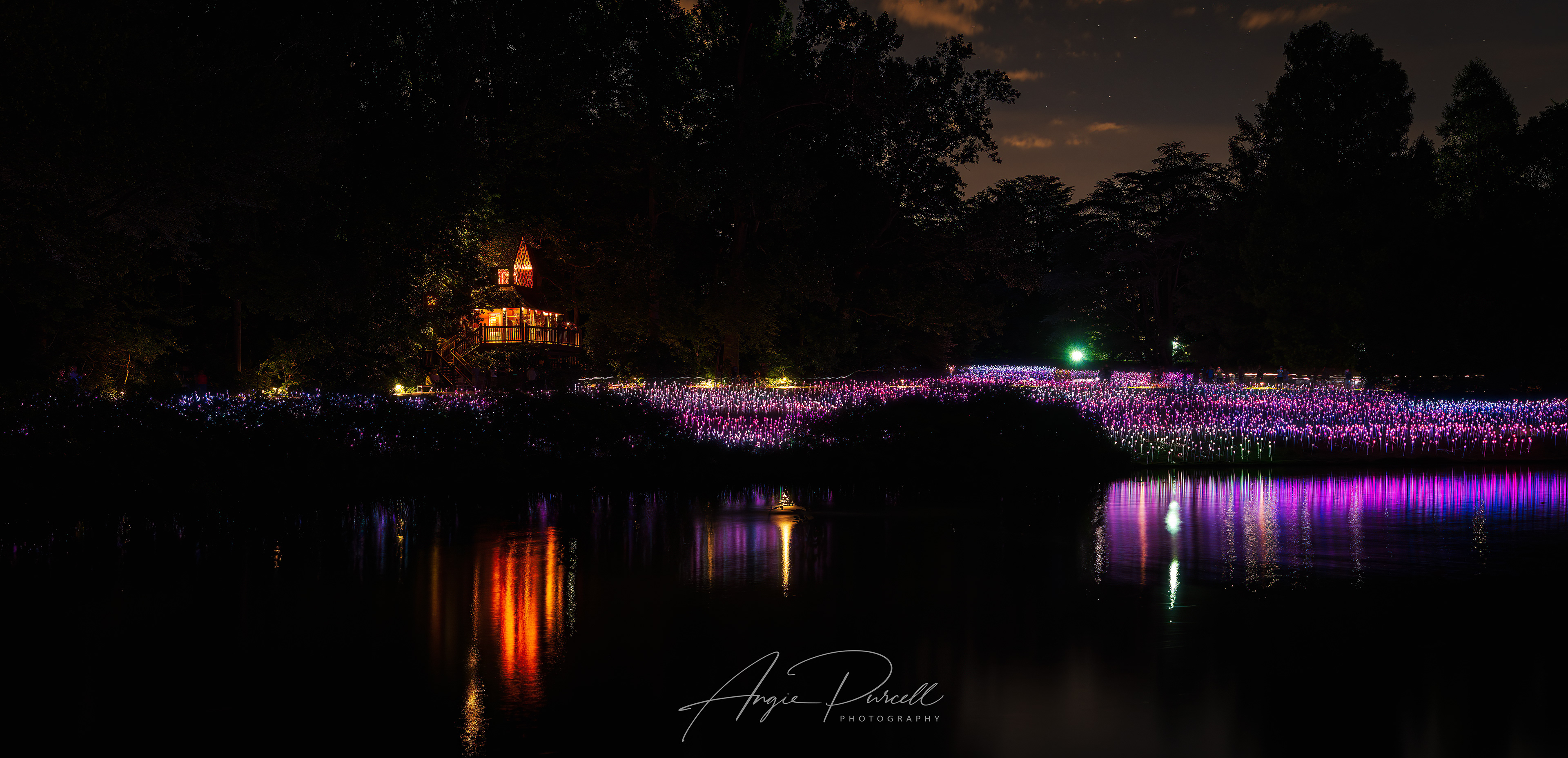 Field of Lights installation at Longwood Gardens, PA