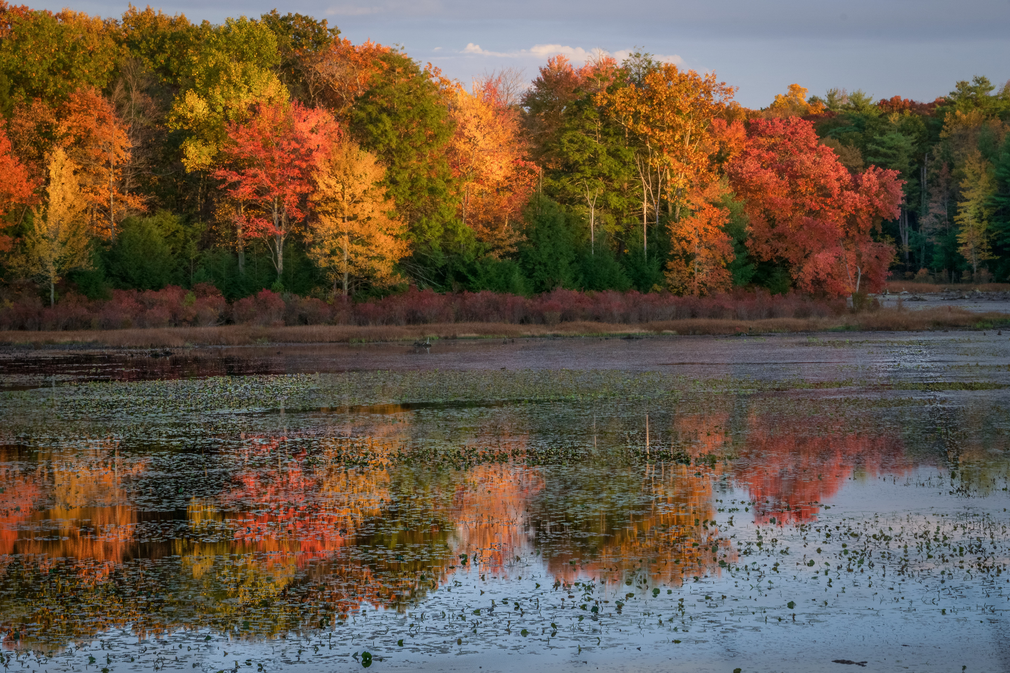 Fall in Red Rock, PA