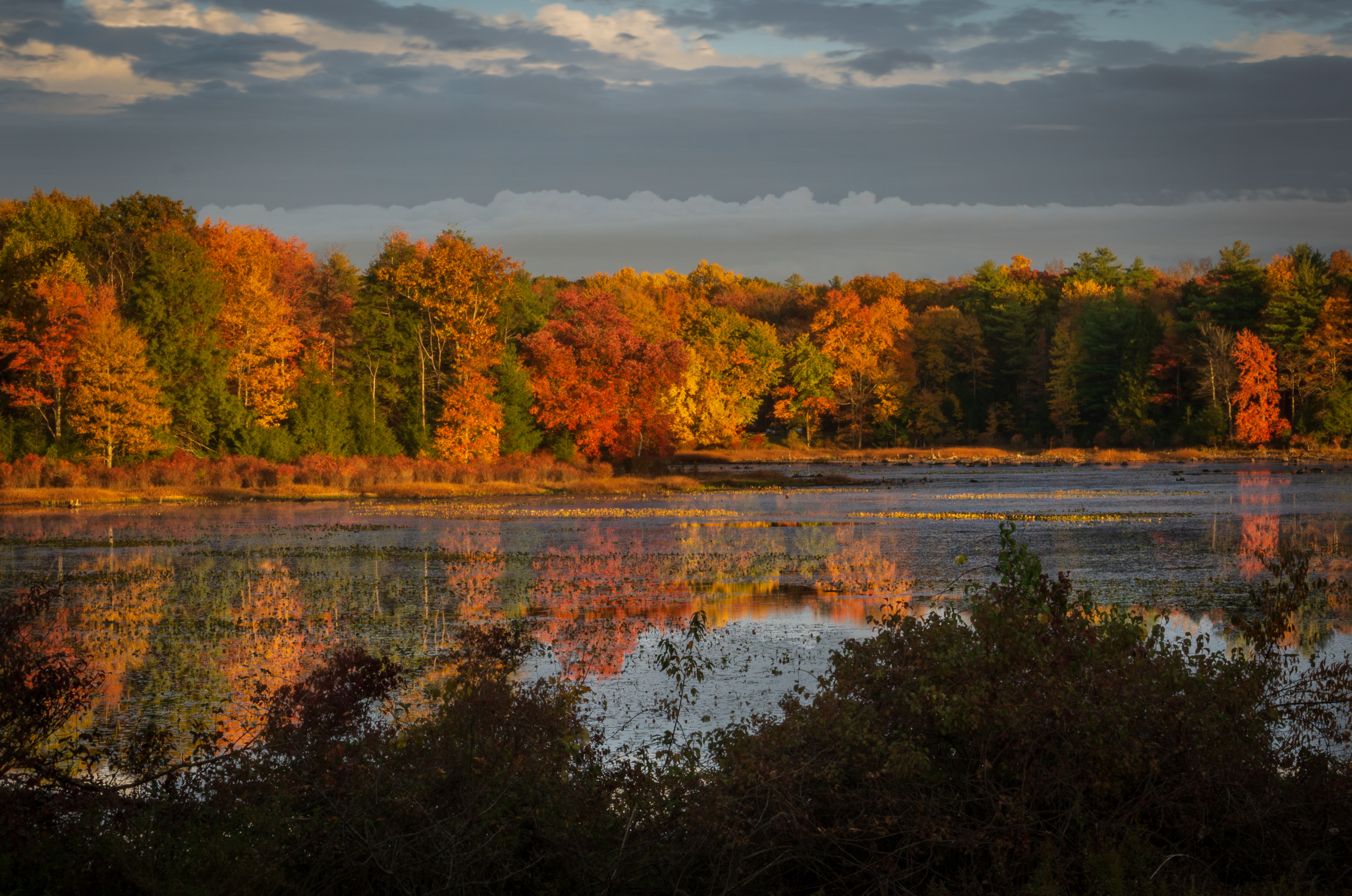Sunset at the marsh near Rickett's Glen State Park, PA