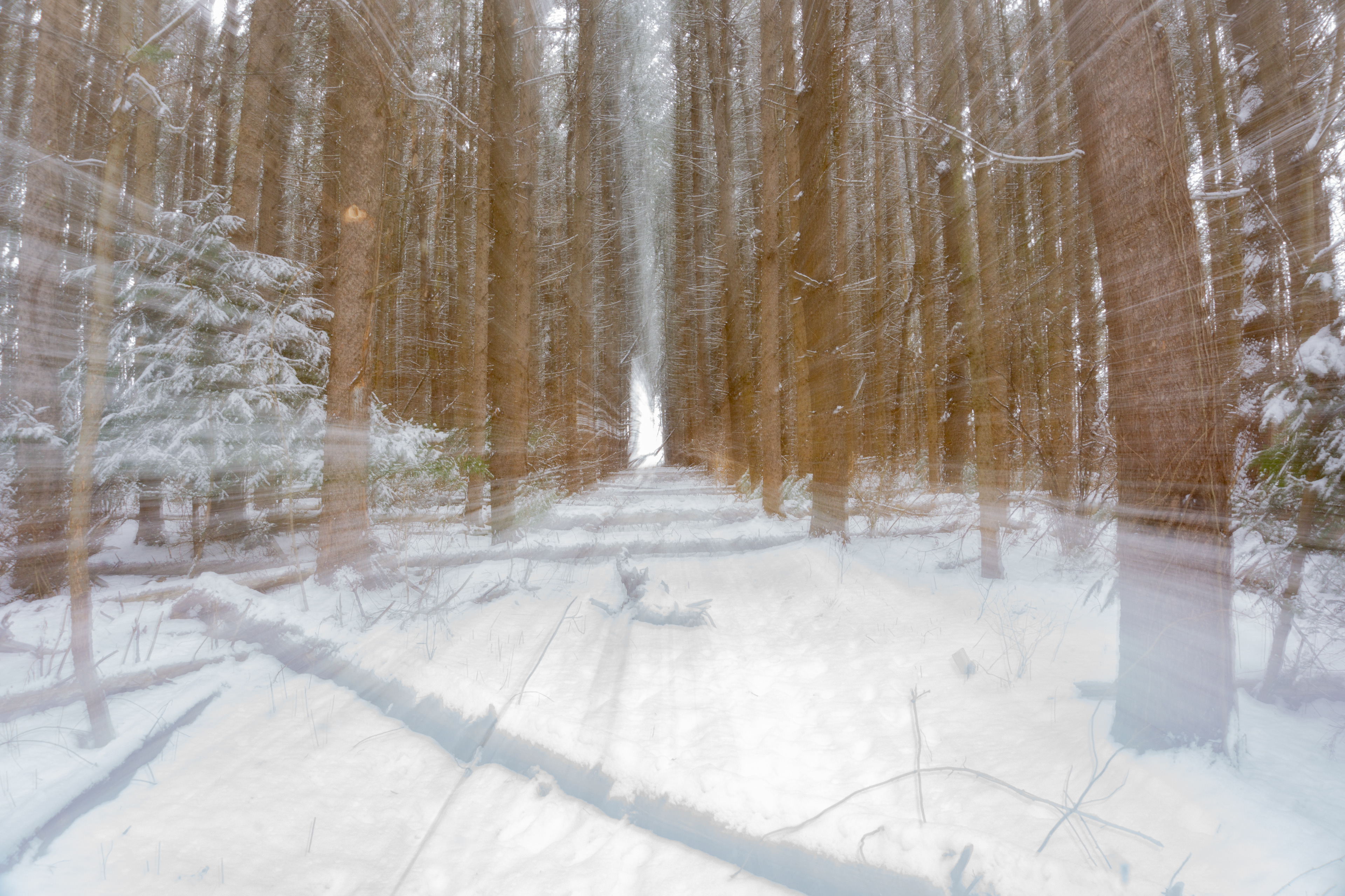 Snow Landscape Zoom Pan ICM