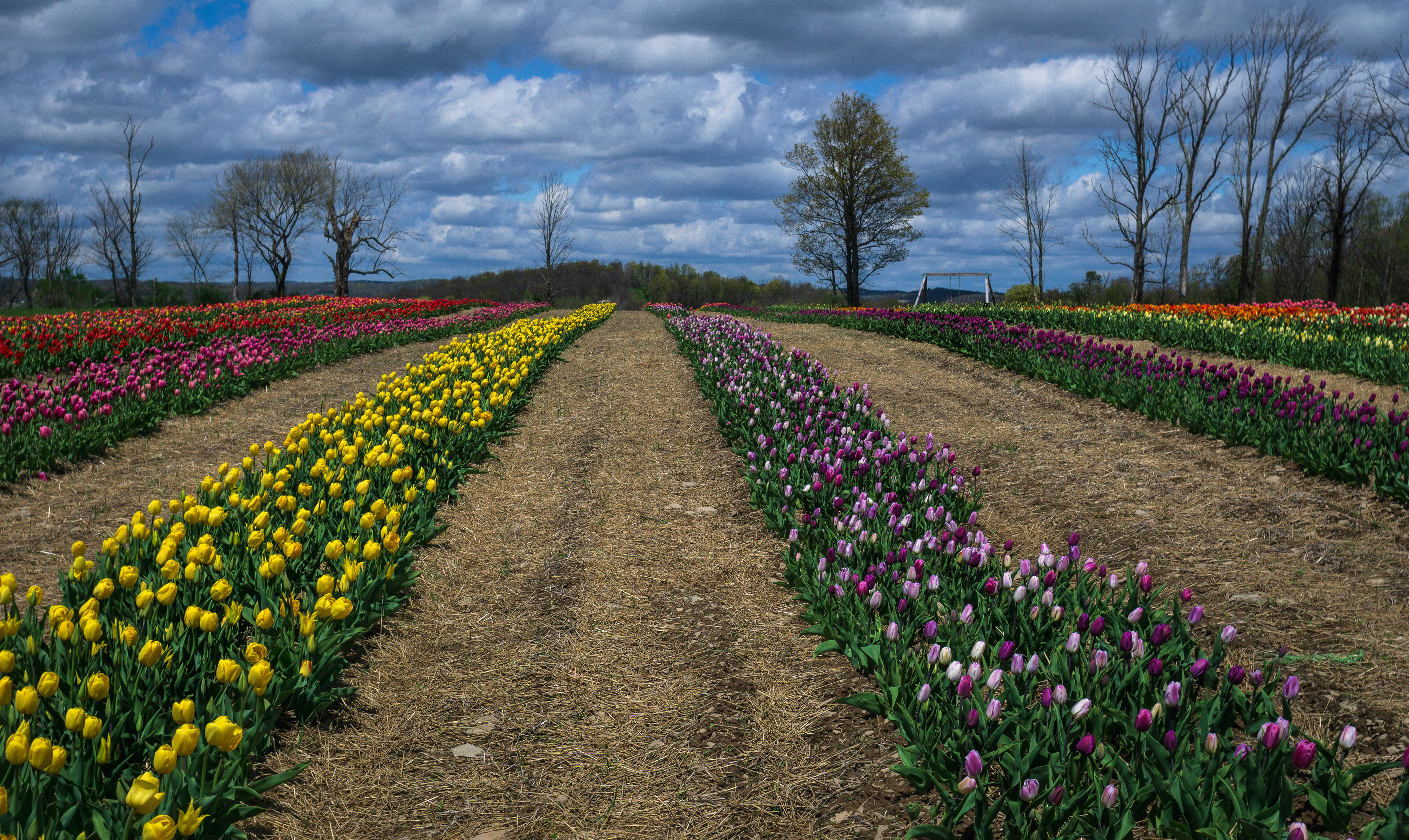 Brown Hills Farm, Tunkhannock, PA