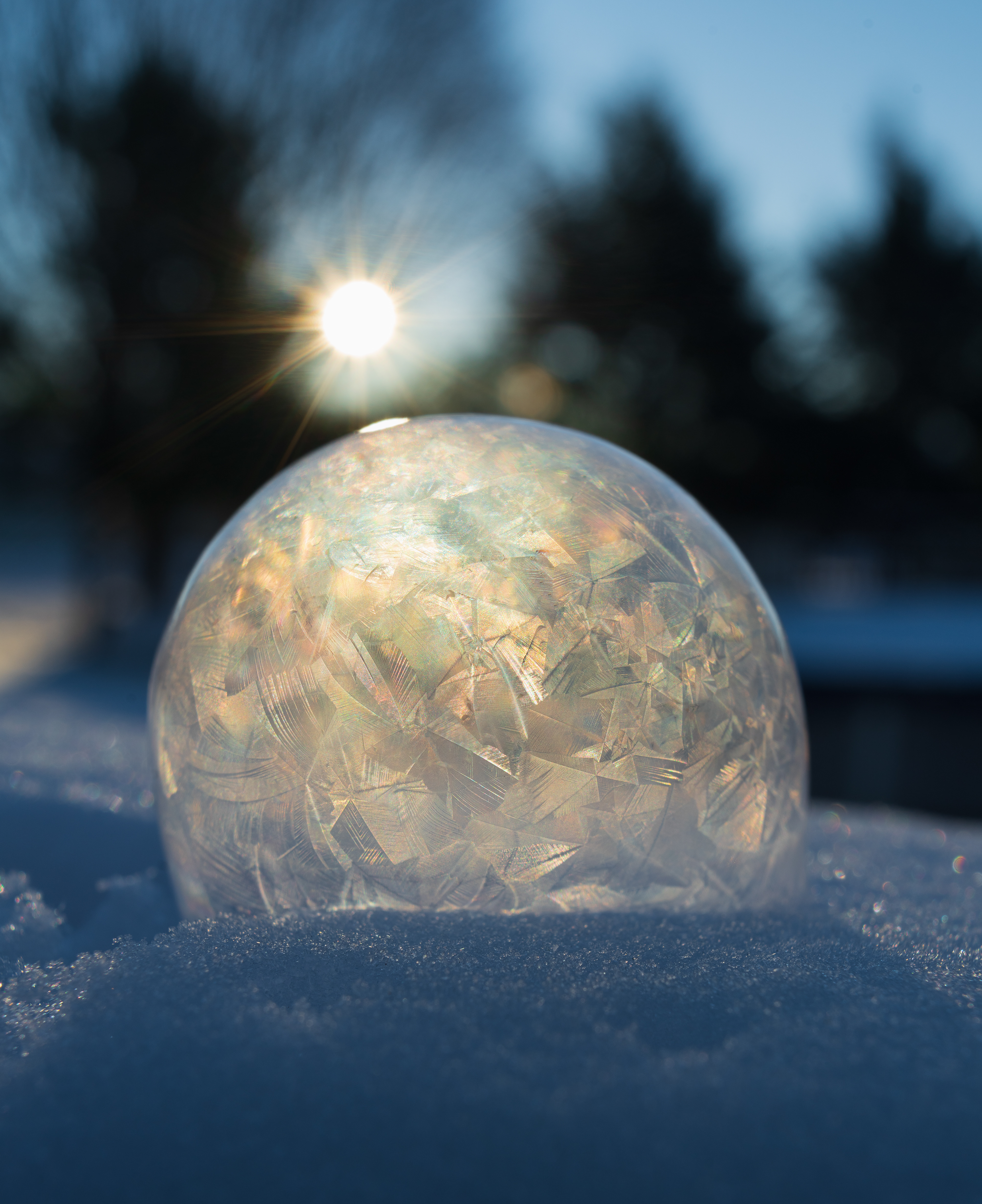 Backlit Bubble