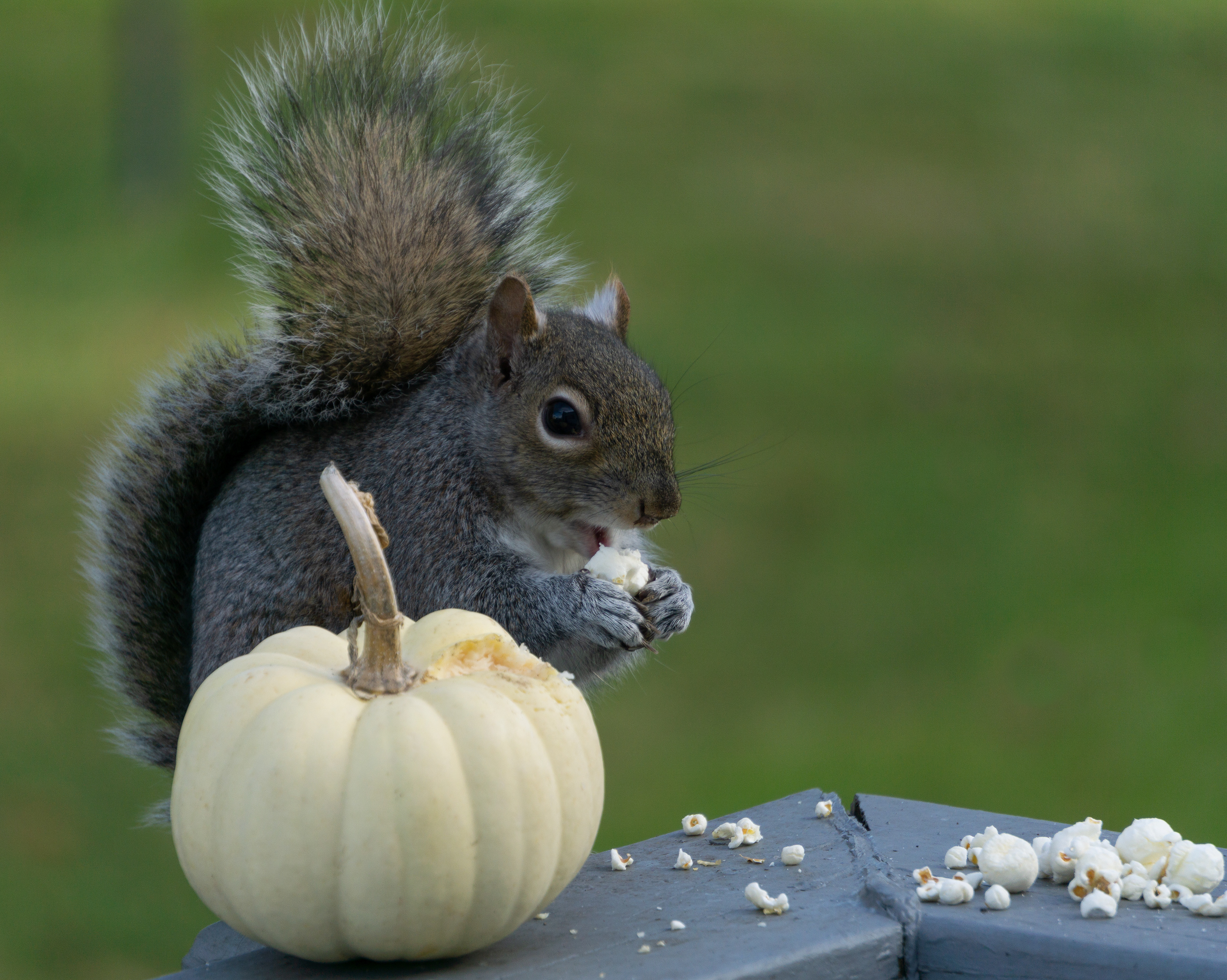 Caught in the Act!
