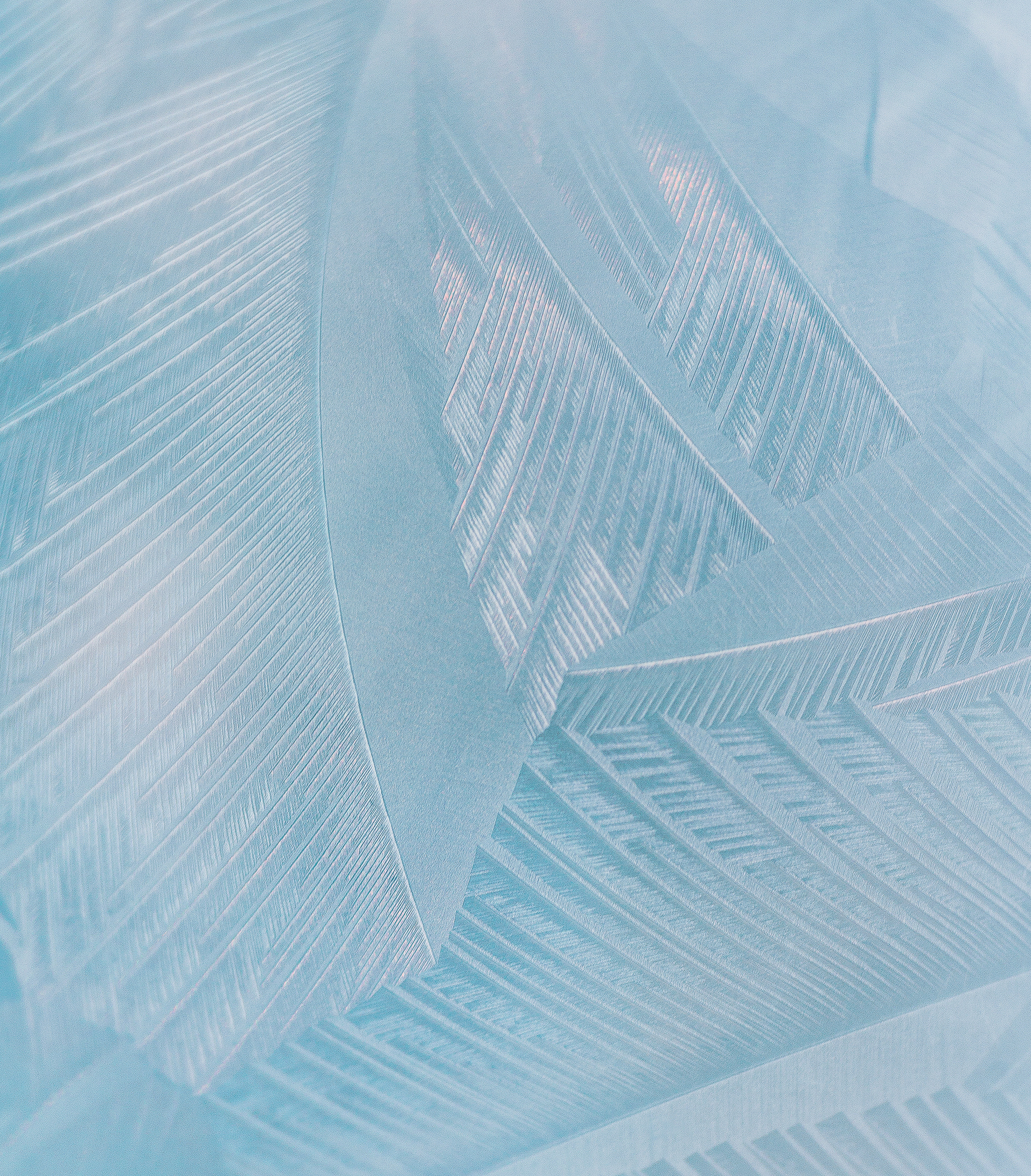 Frost Patterns