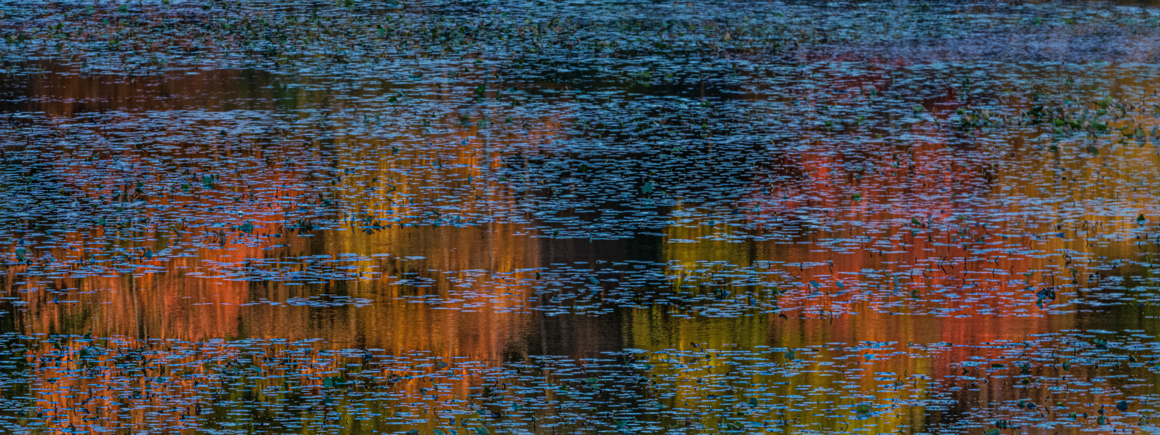 Reflected Glory
