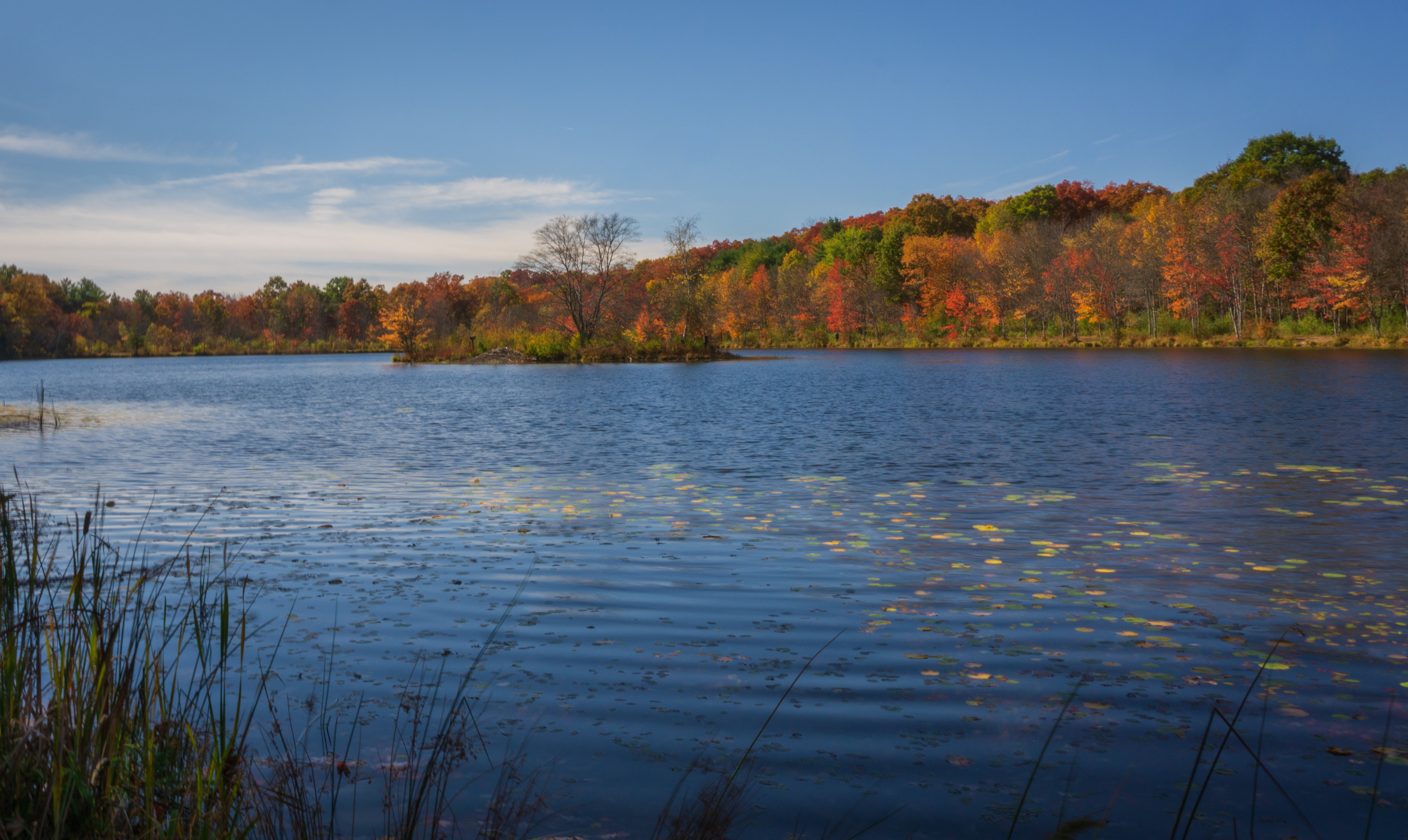 Nescopeck State Park, PA
