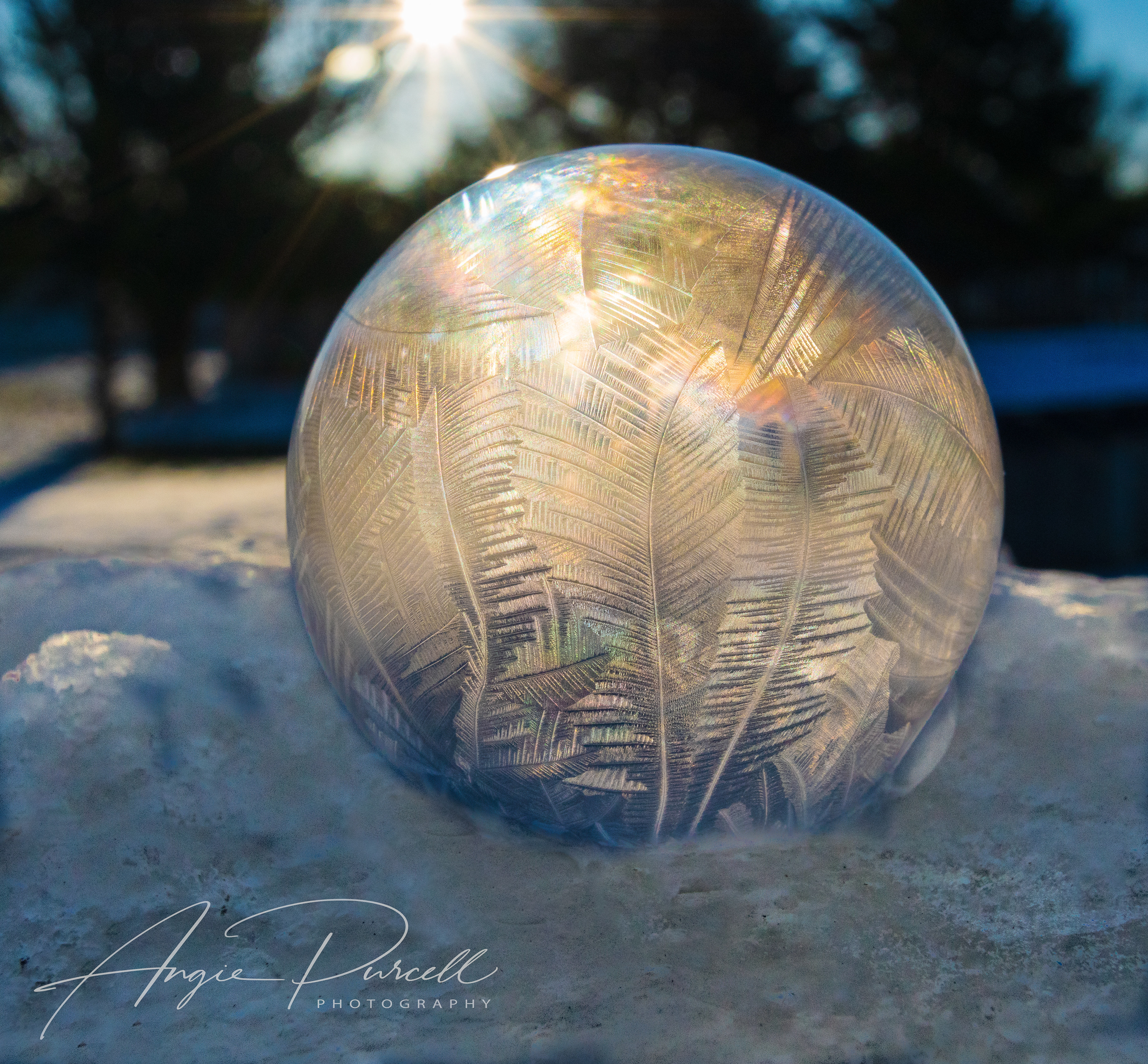 Frozen Bubble 