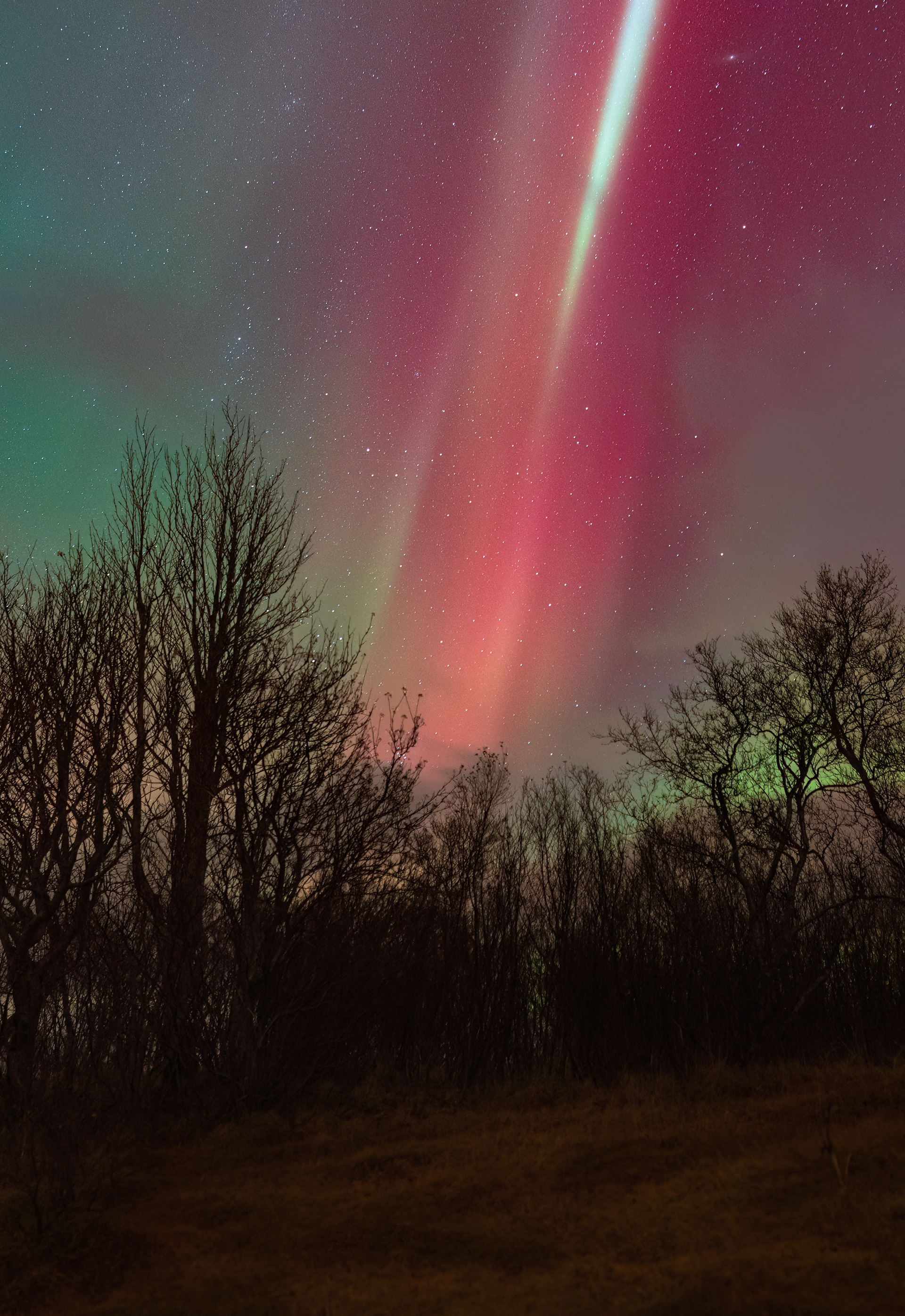 Aurora over Thingvellir Iceland