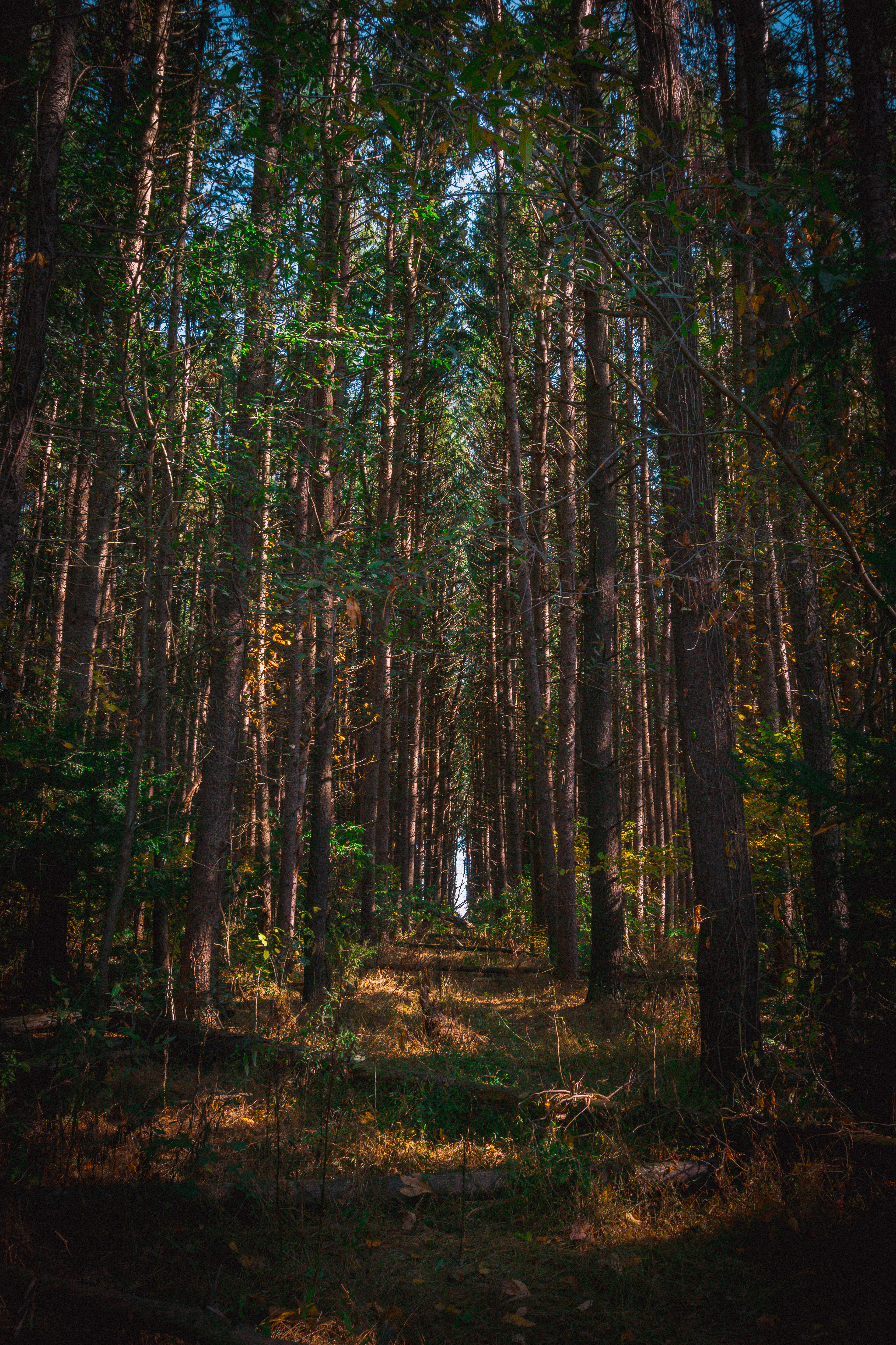 The Witches Triangle, Berwick, PA