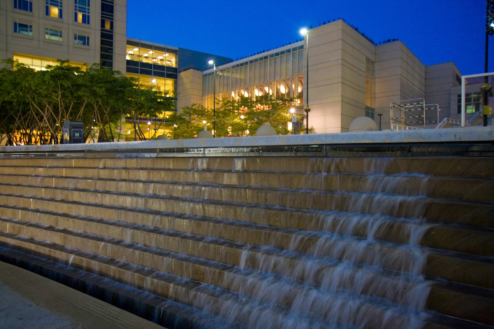 Photgraph by David J. Manning