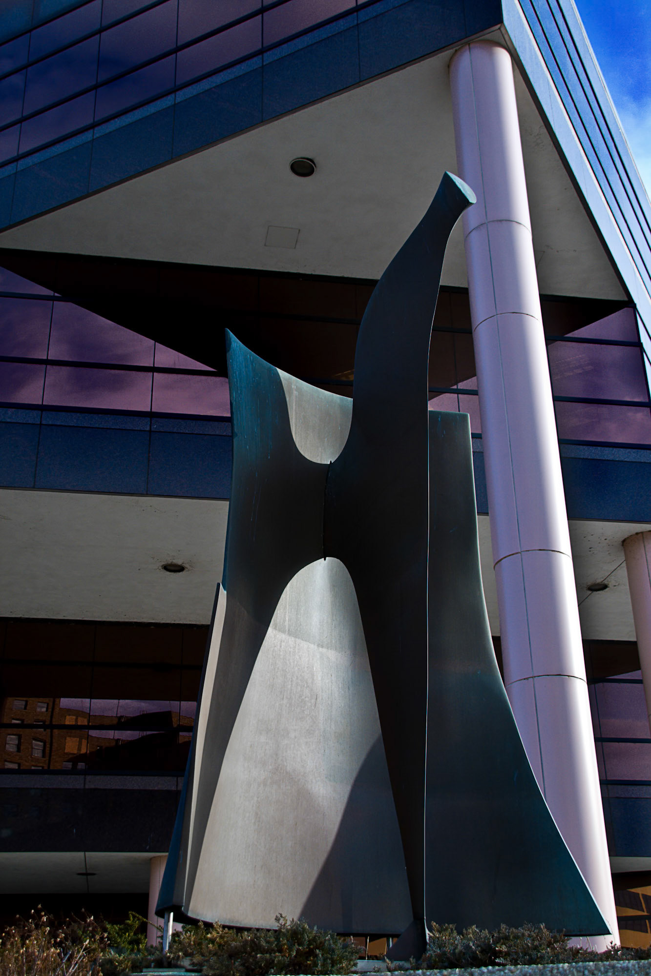 Photgraph by David J. Manning