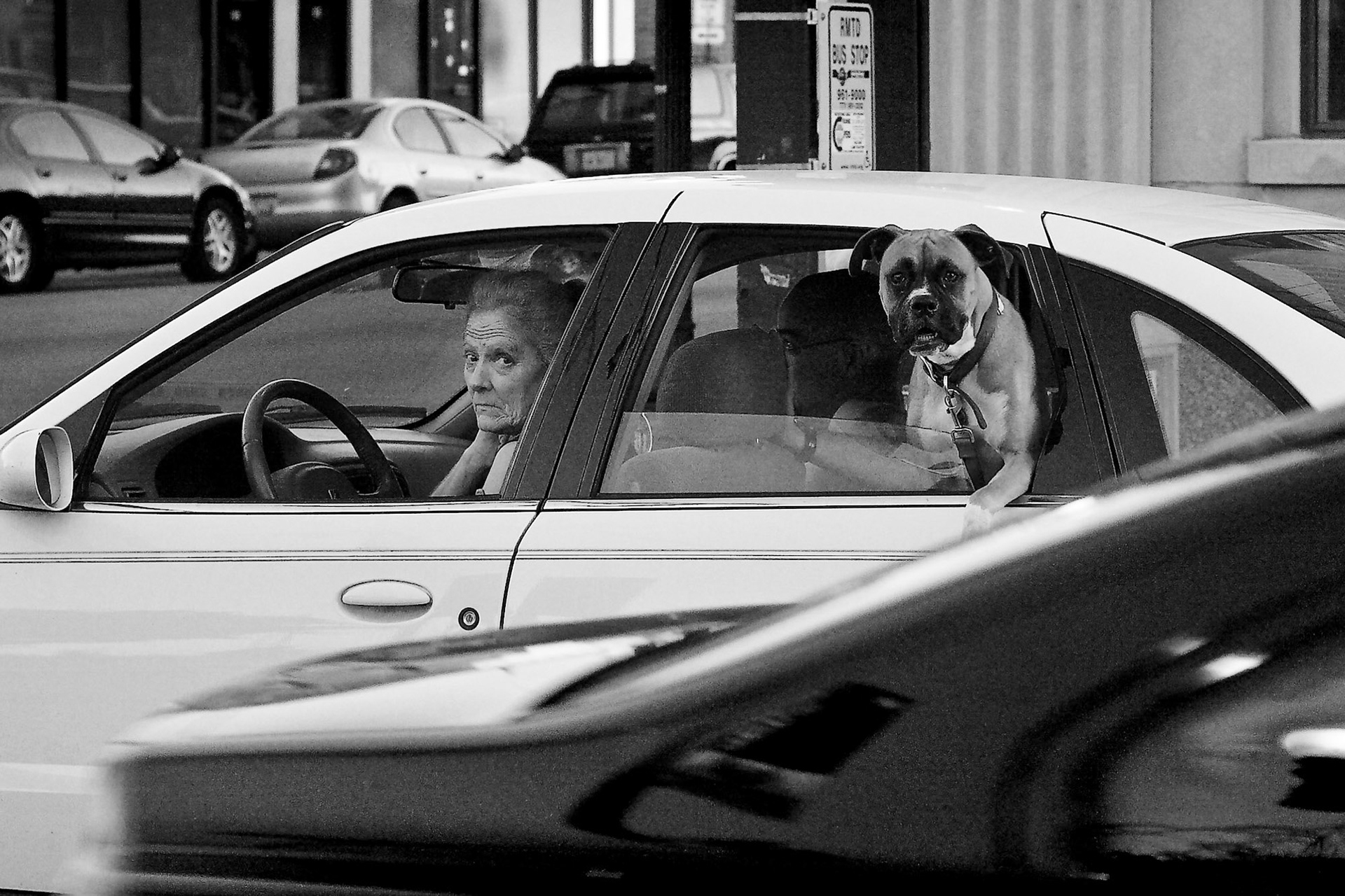 Photgraph by David J. Manning