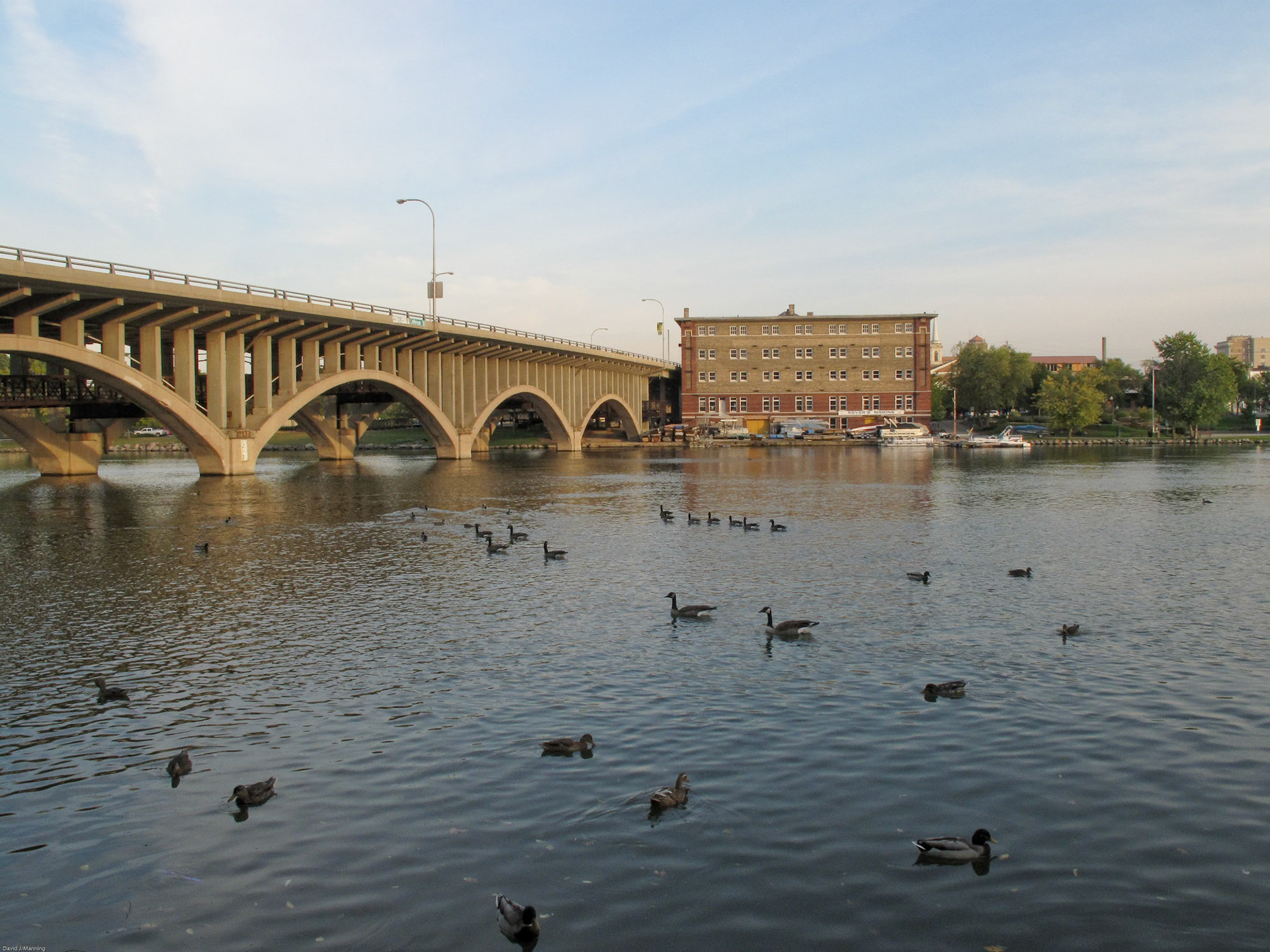 Photgraph by David J. Manning