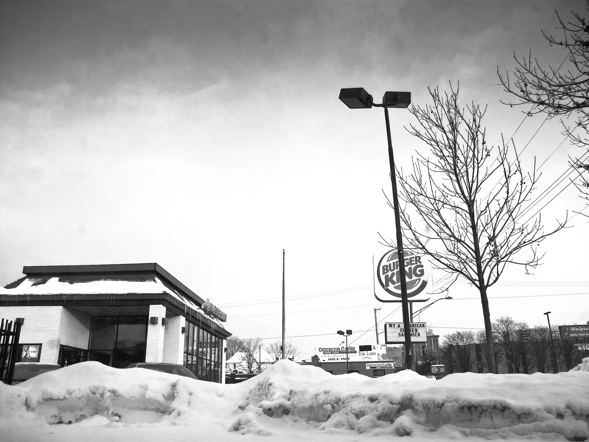 Photgraph by David J. Manning