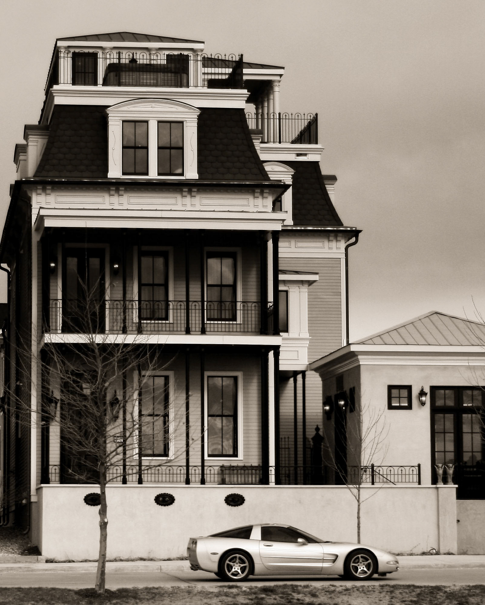 Photgraph by David J. Manning