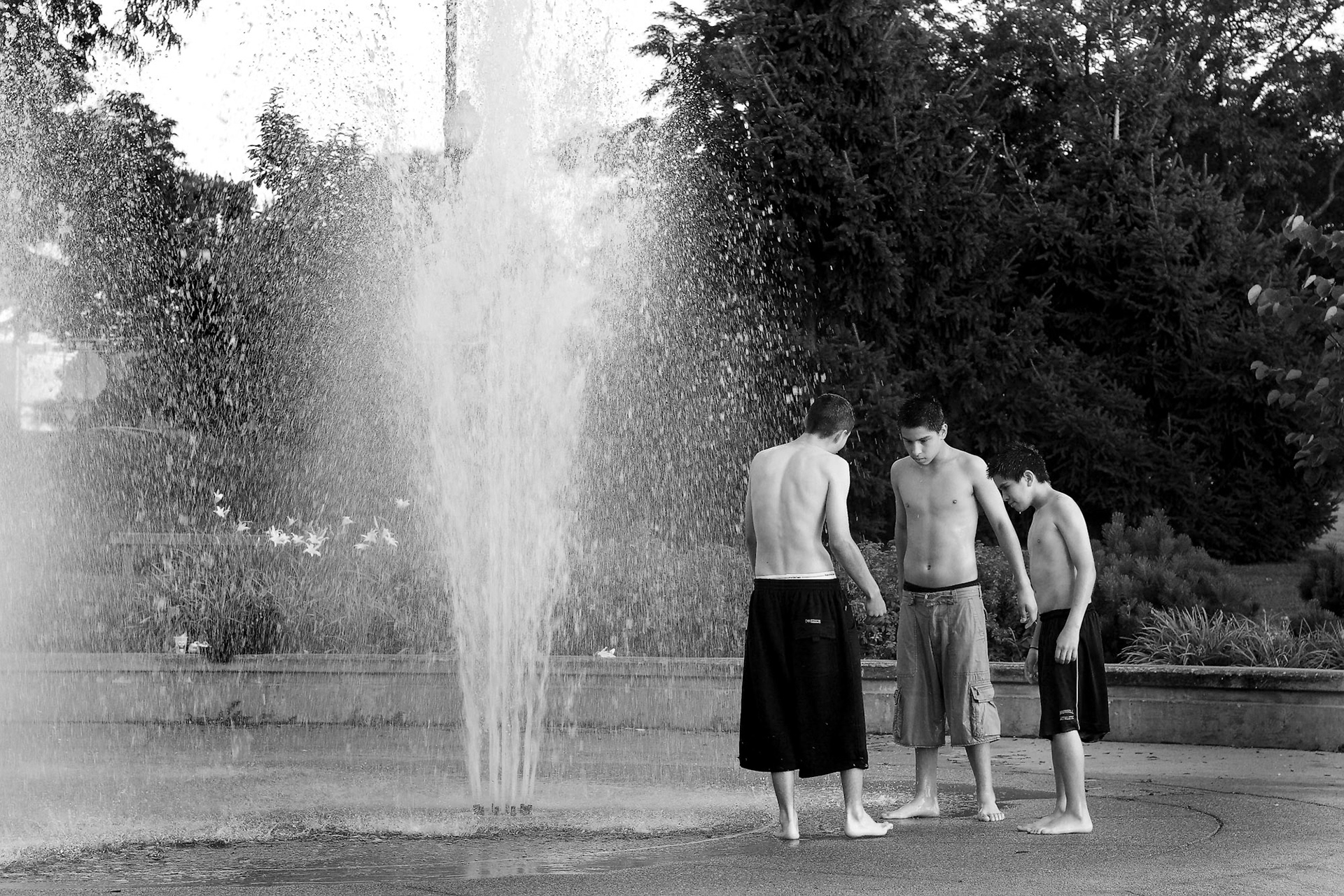 Photgraph by David J. Manning