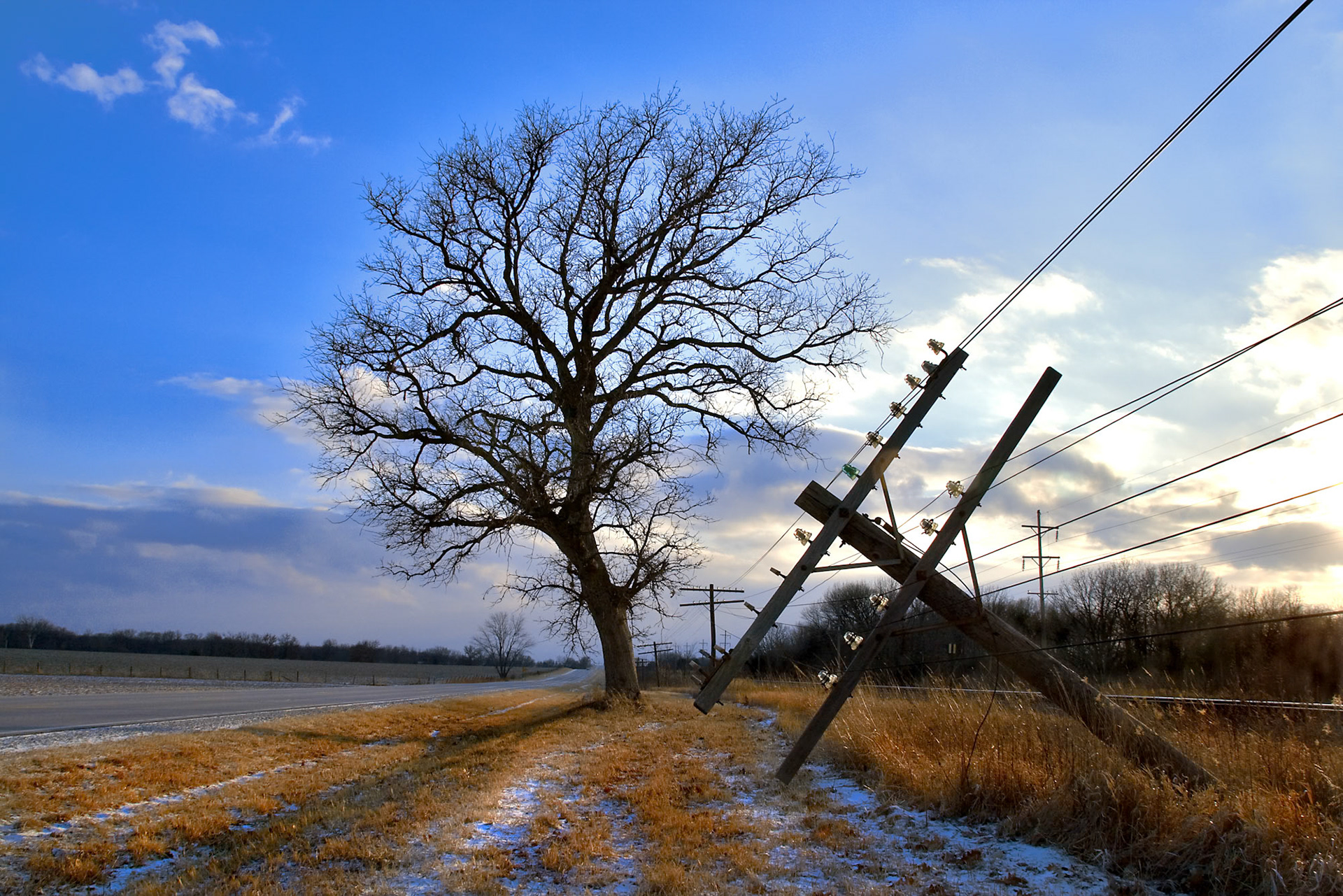 Photgraph by David J. Manning