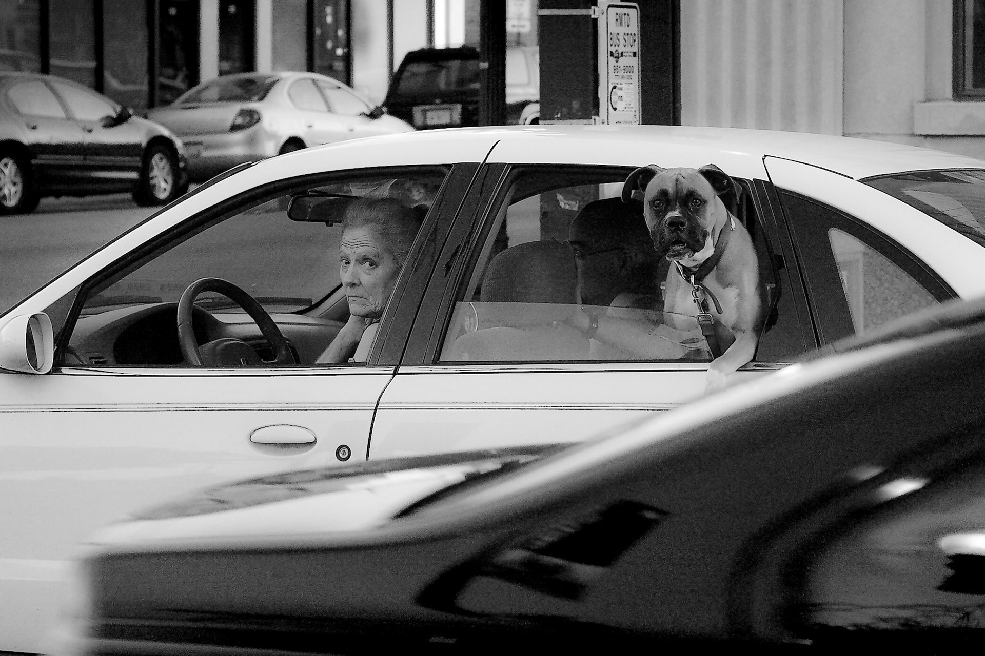 Photgraph by David J. Manning