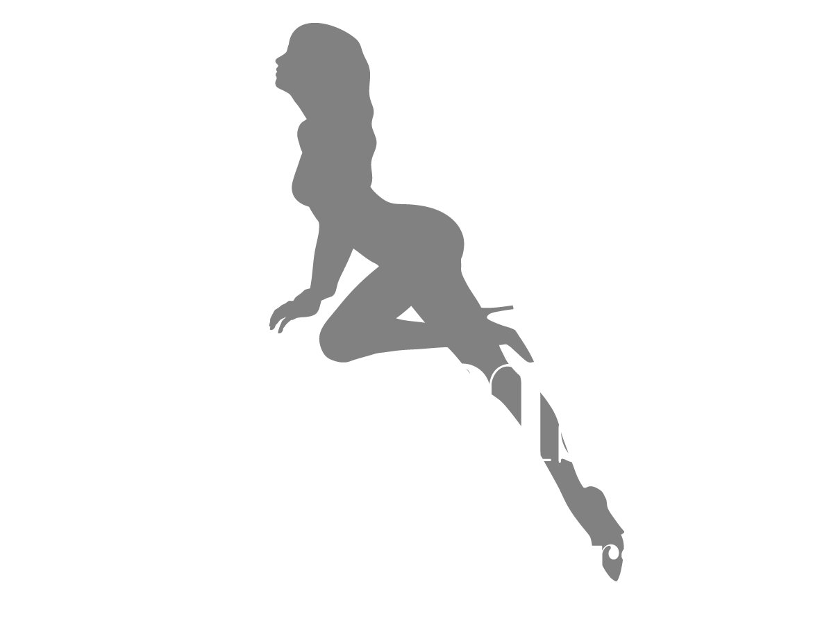 Customsyte Photography logo