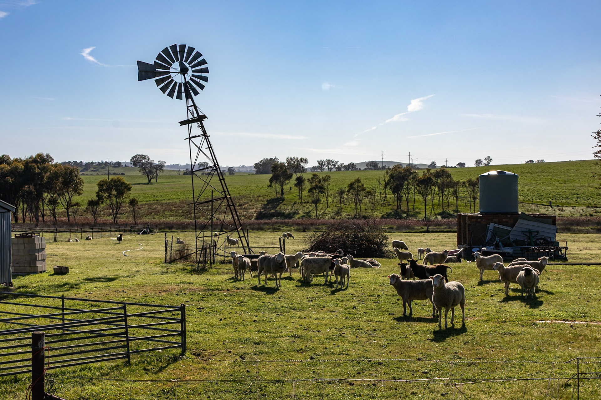 Somewhere near Binalong