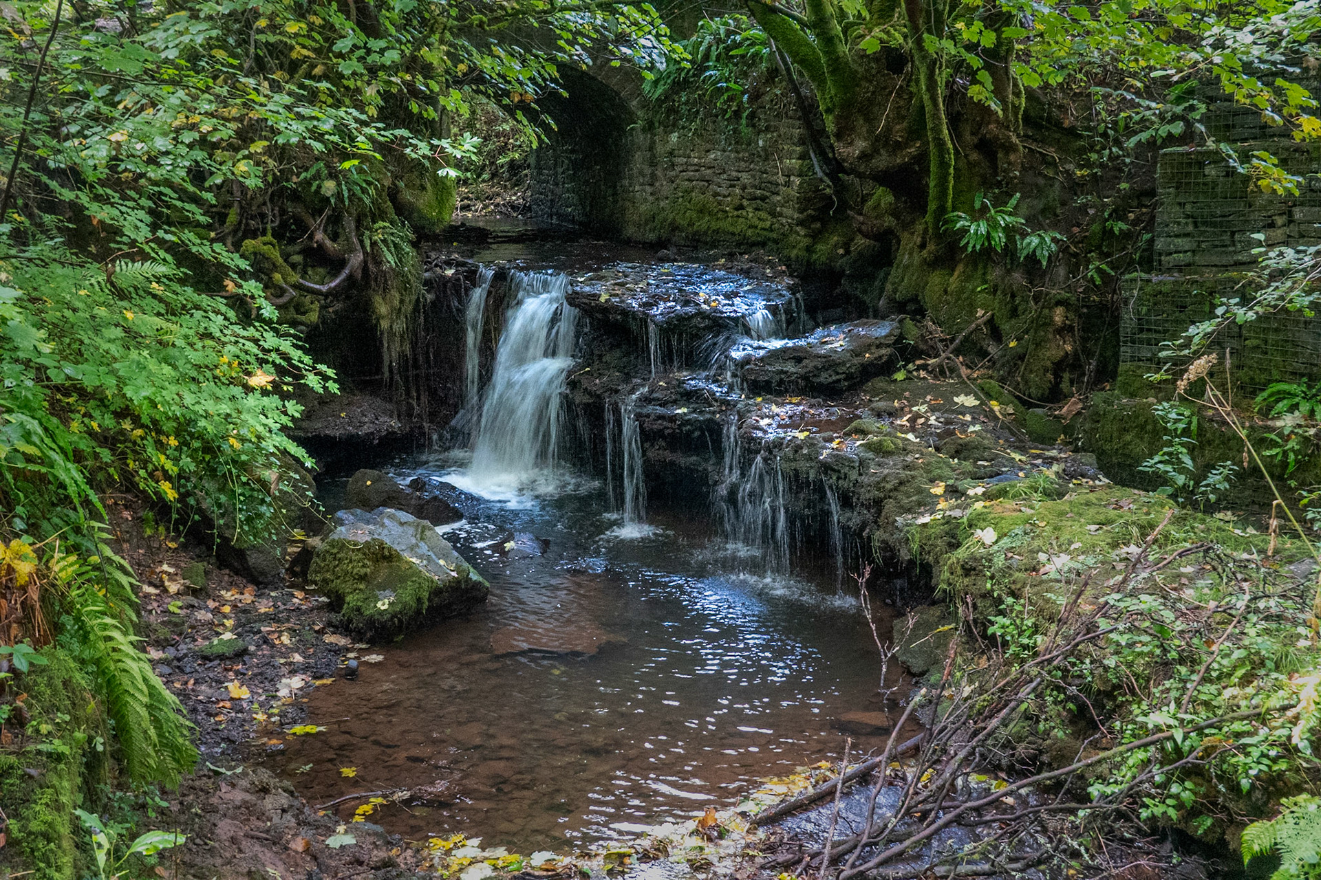 Waterfall, Angidy Trail