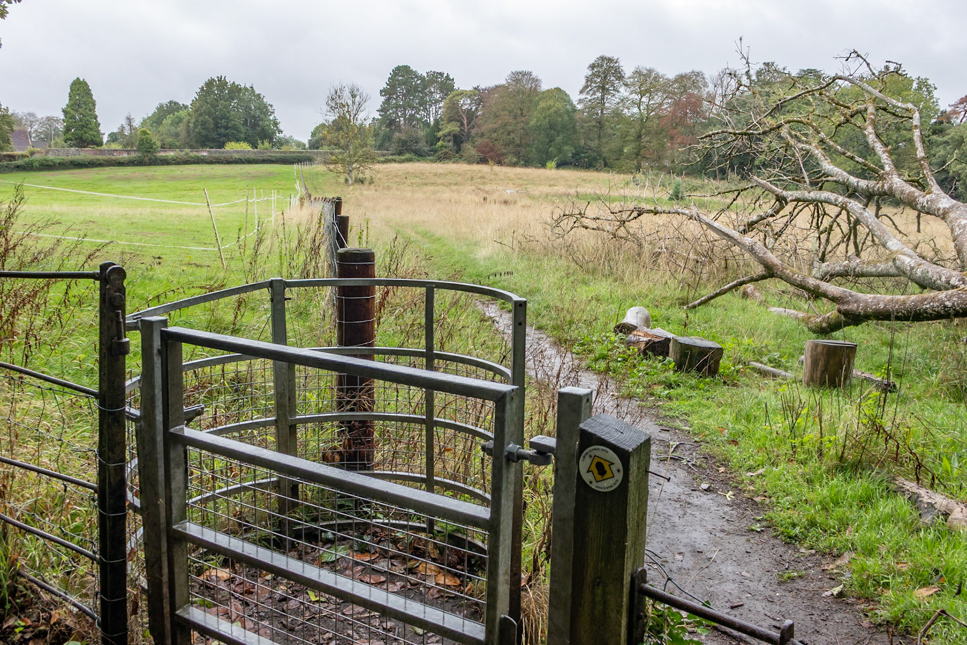 Kissing gate