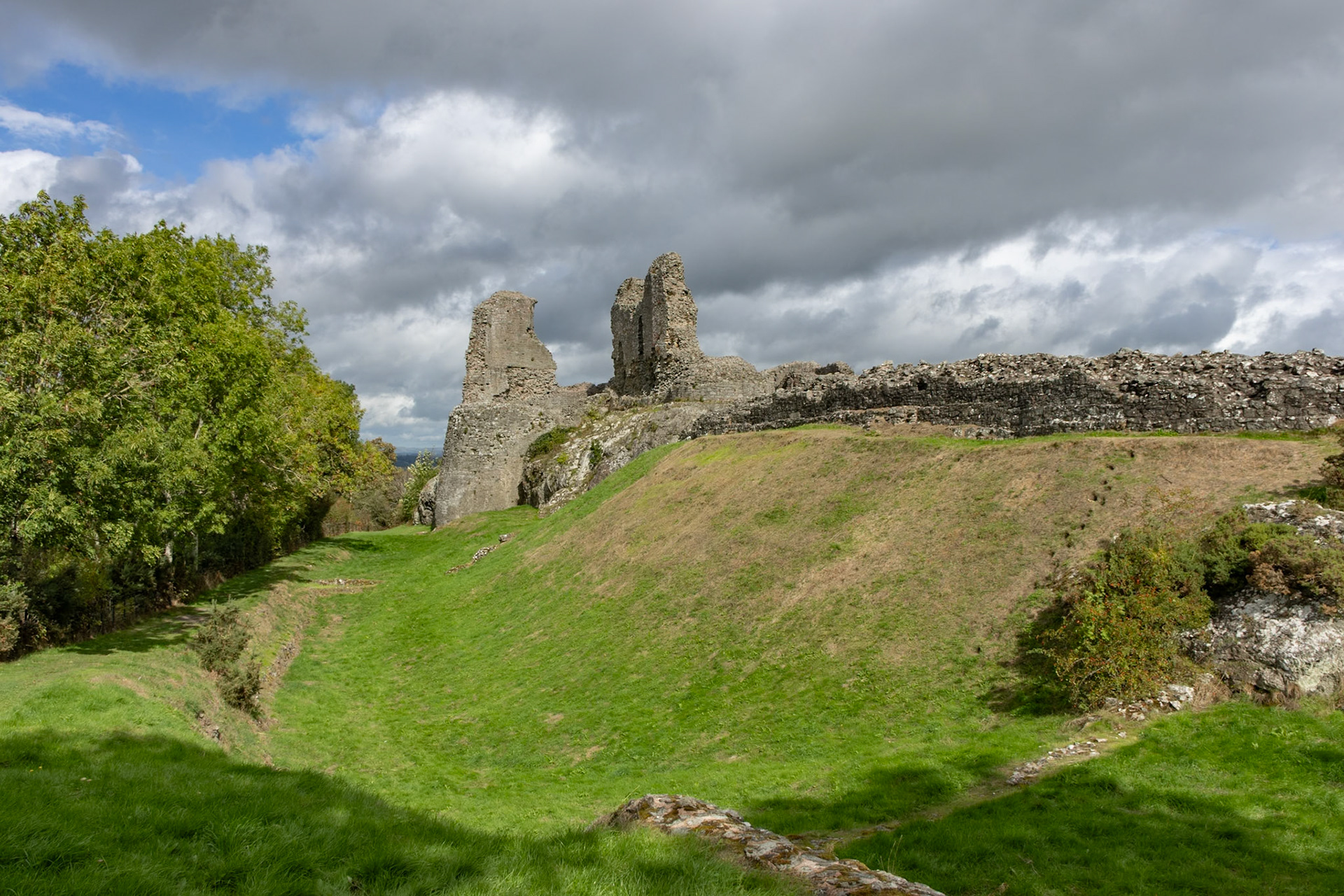 Montgomery Castle