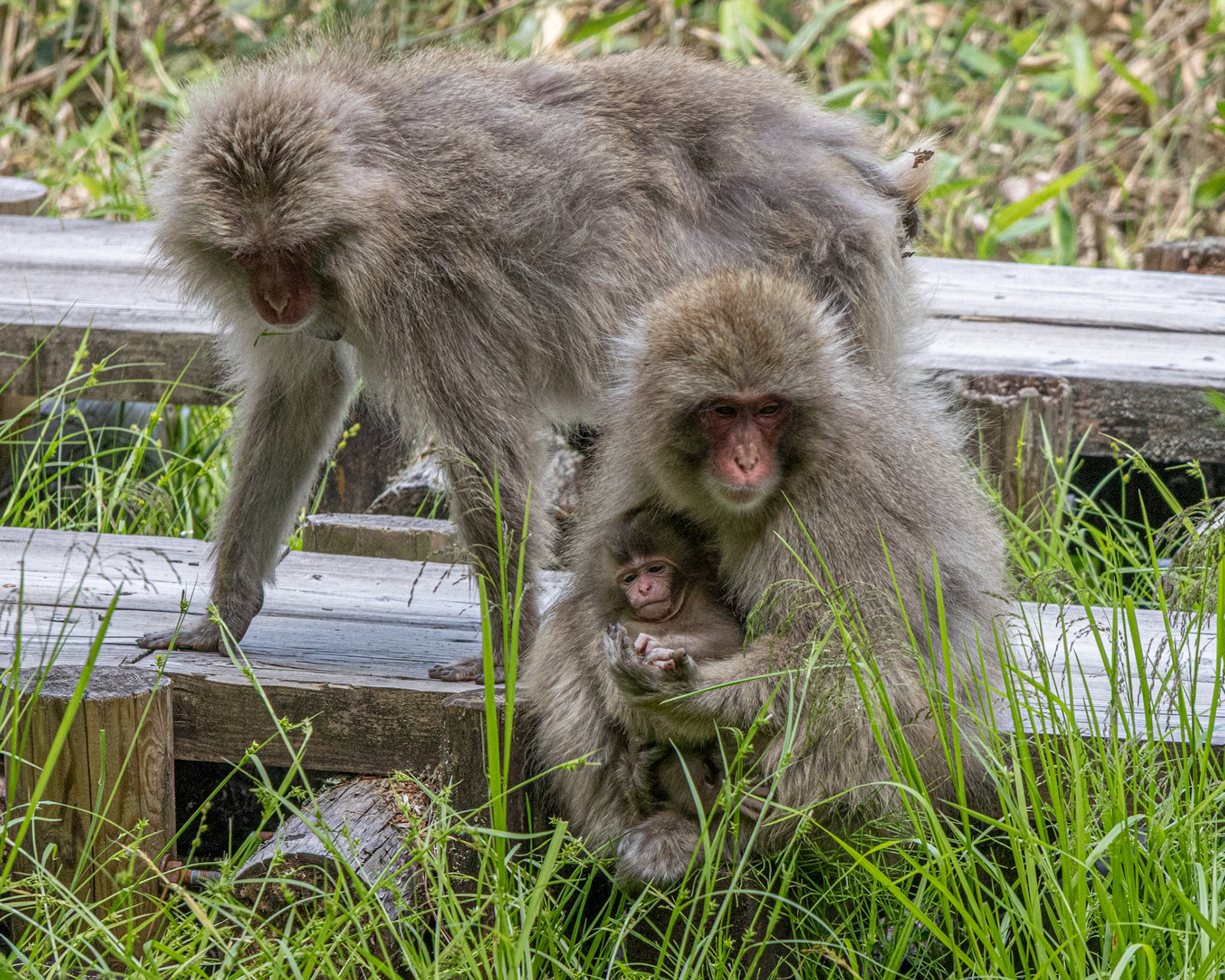 Family gathering