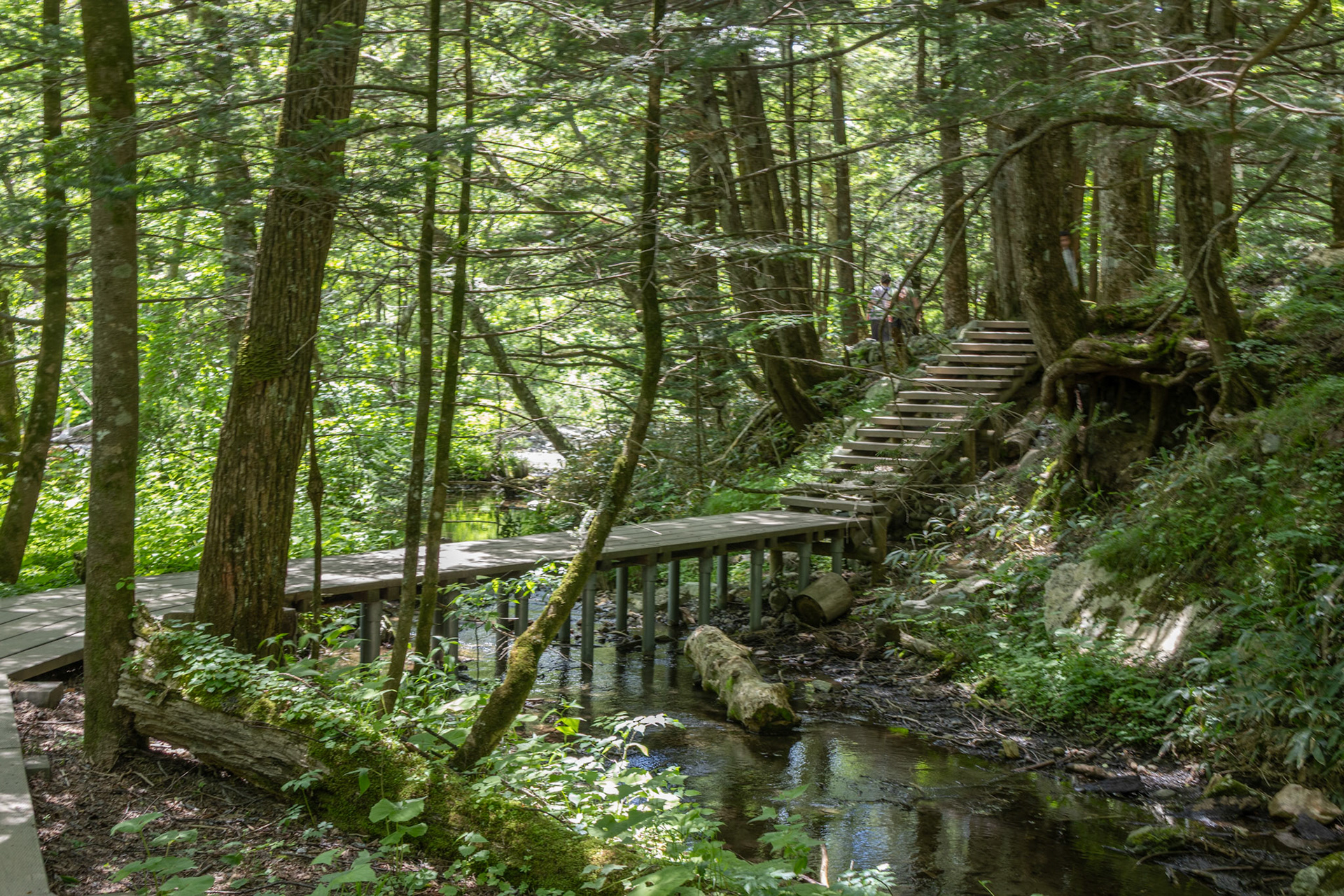 Part of the track