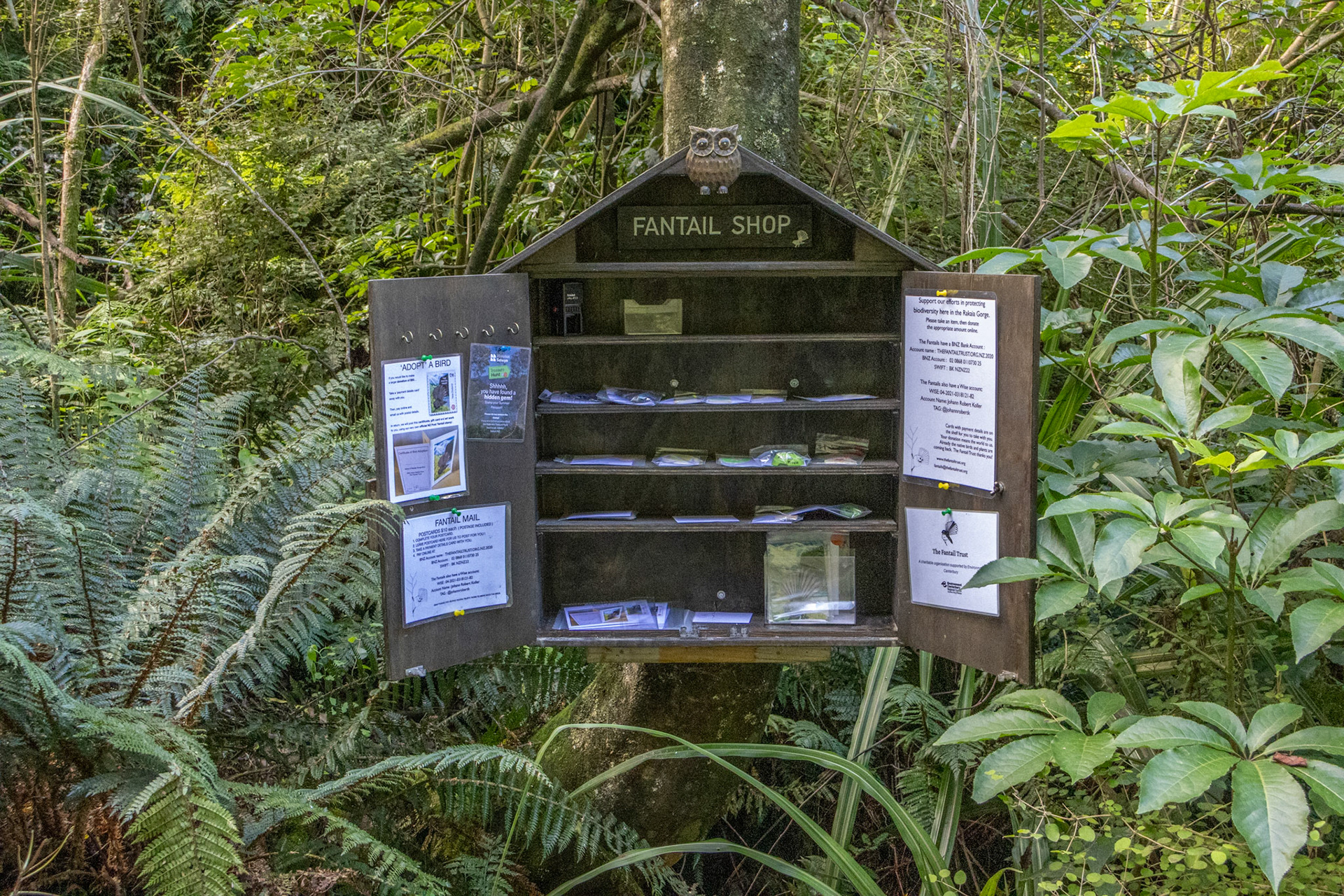 Shop deep in the bush