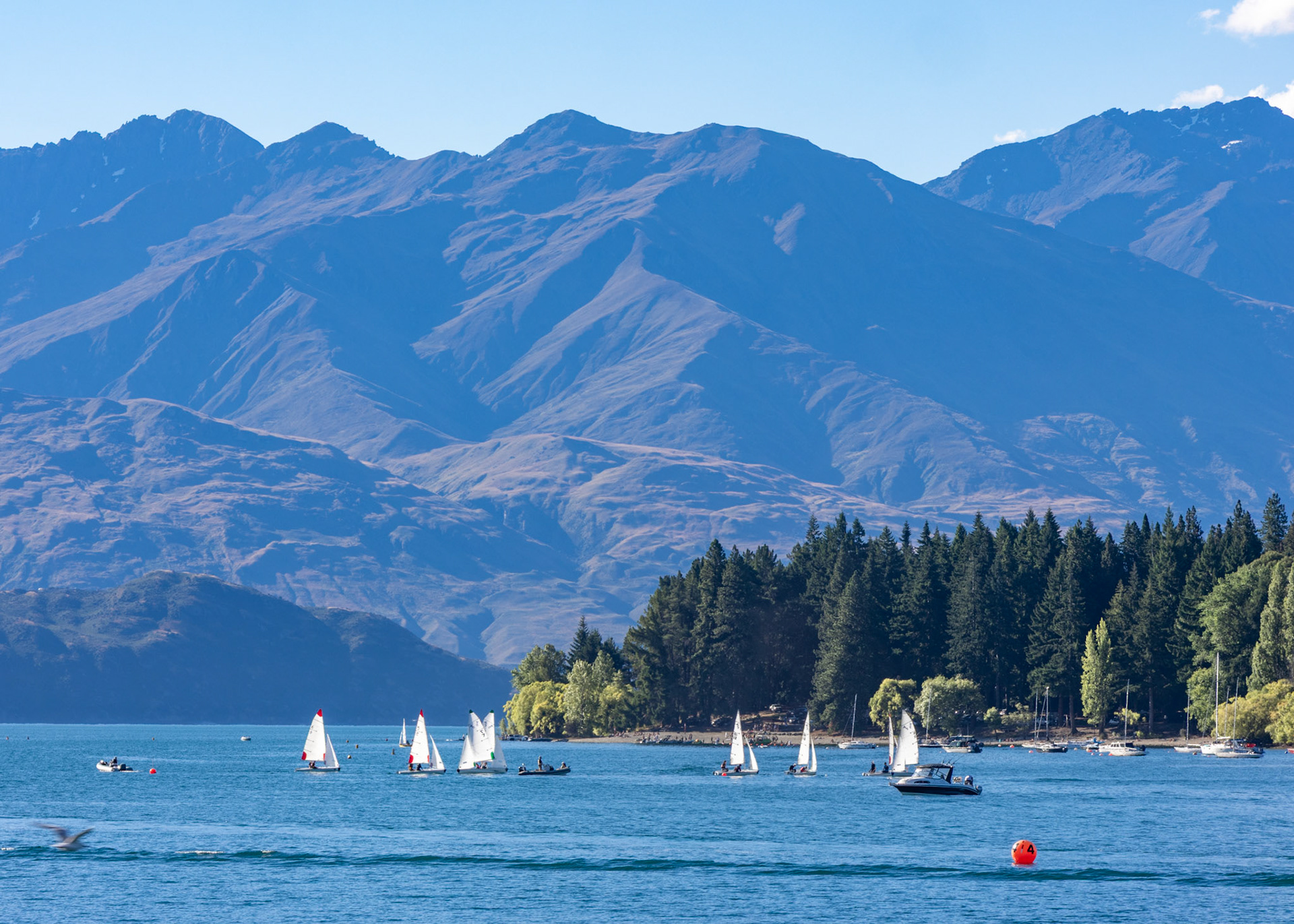 Boats on Lake Wanaka