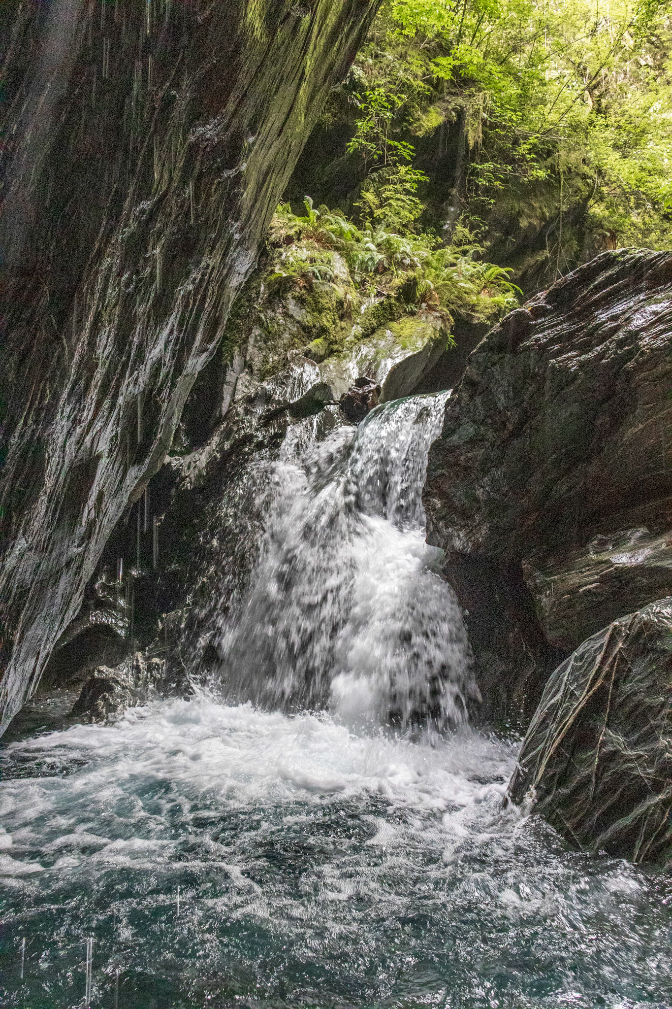 Wilson's Creek Chasm - the now Insta-famous spot on the Haast Pass. This is as far as most people venture