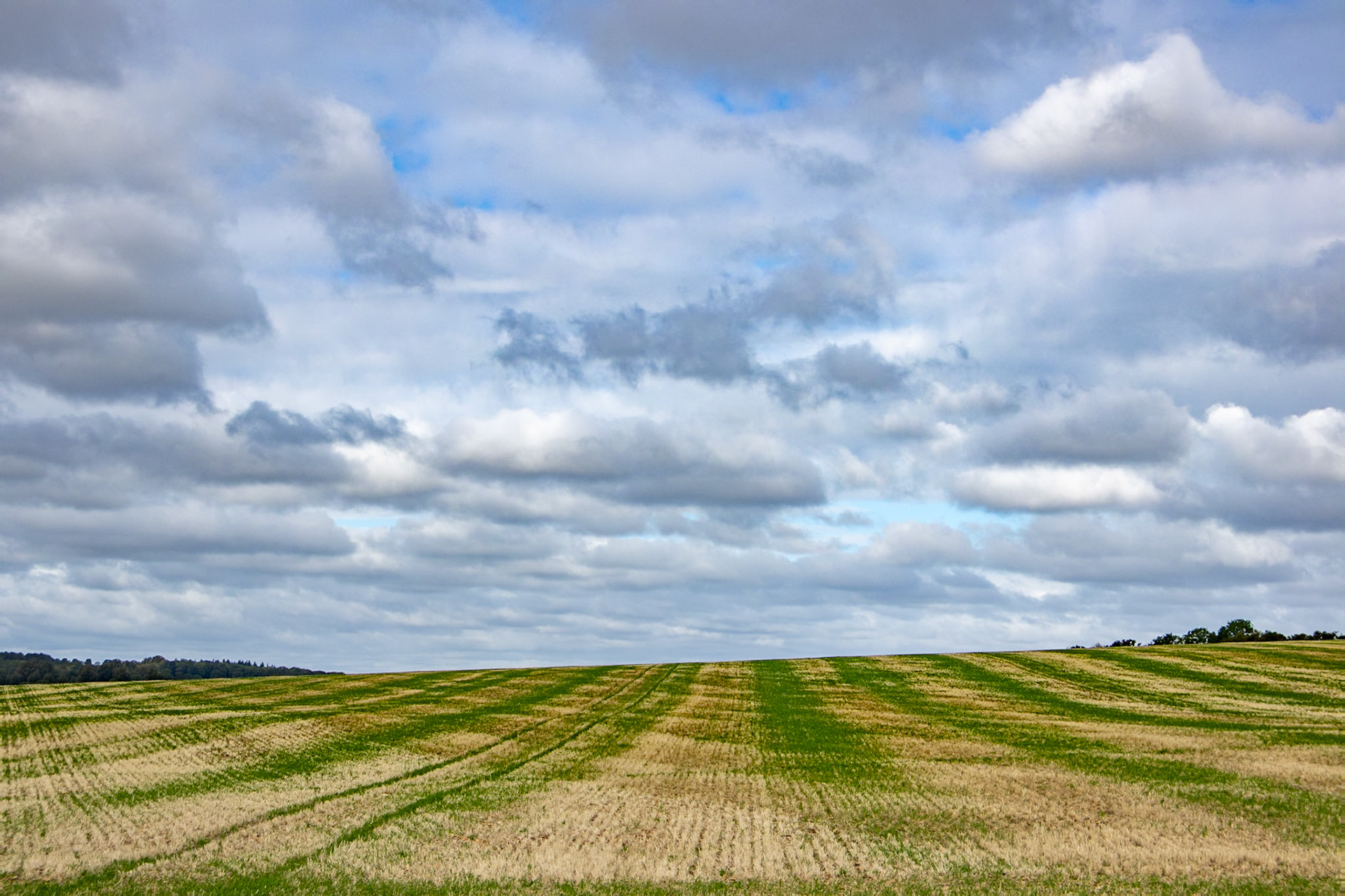 Near Fawler