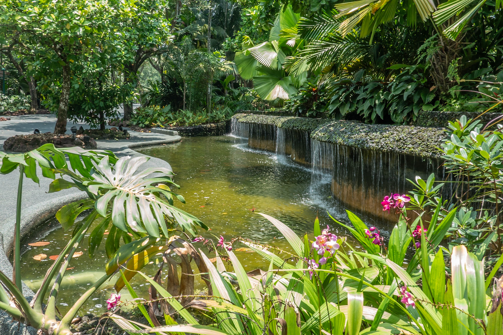 Waterfalls, botanical gardens