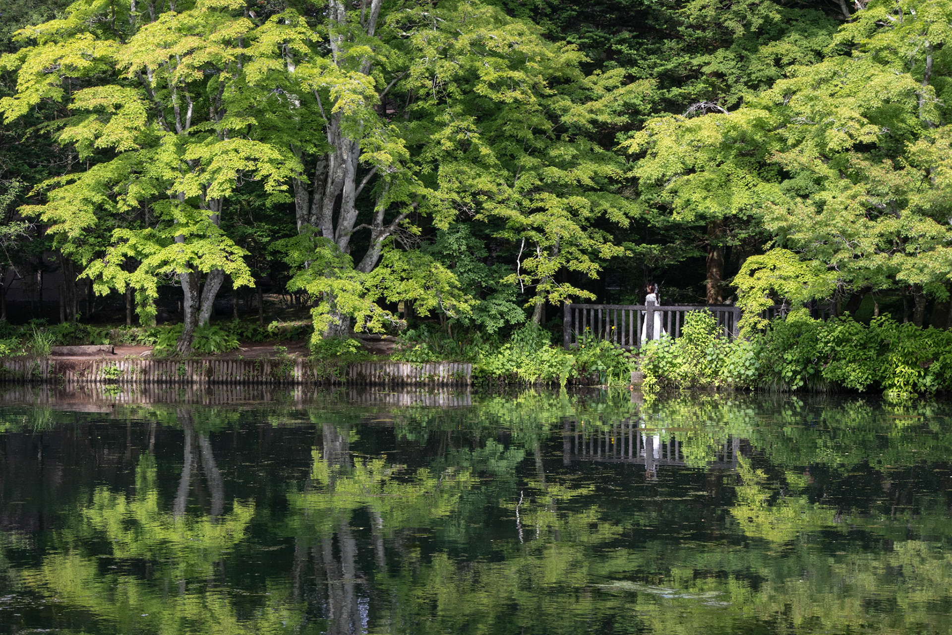 Kumoba Pond