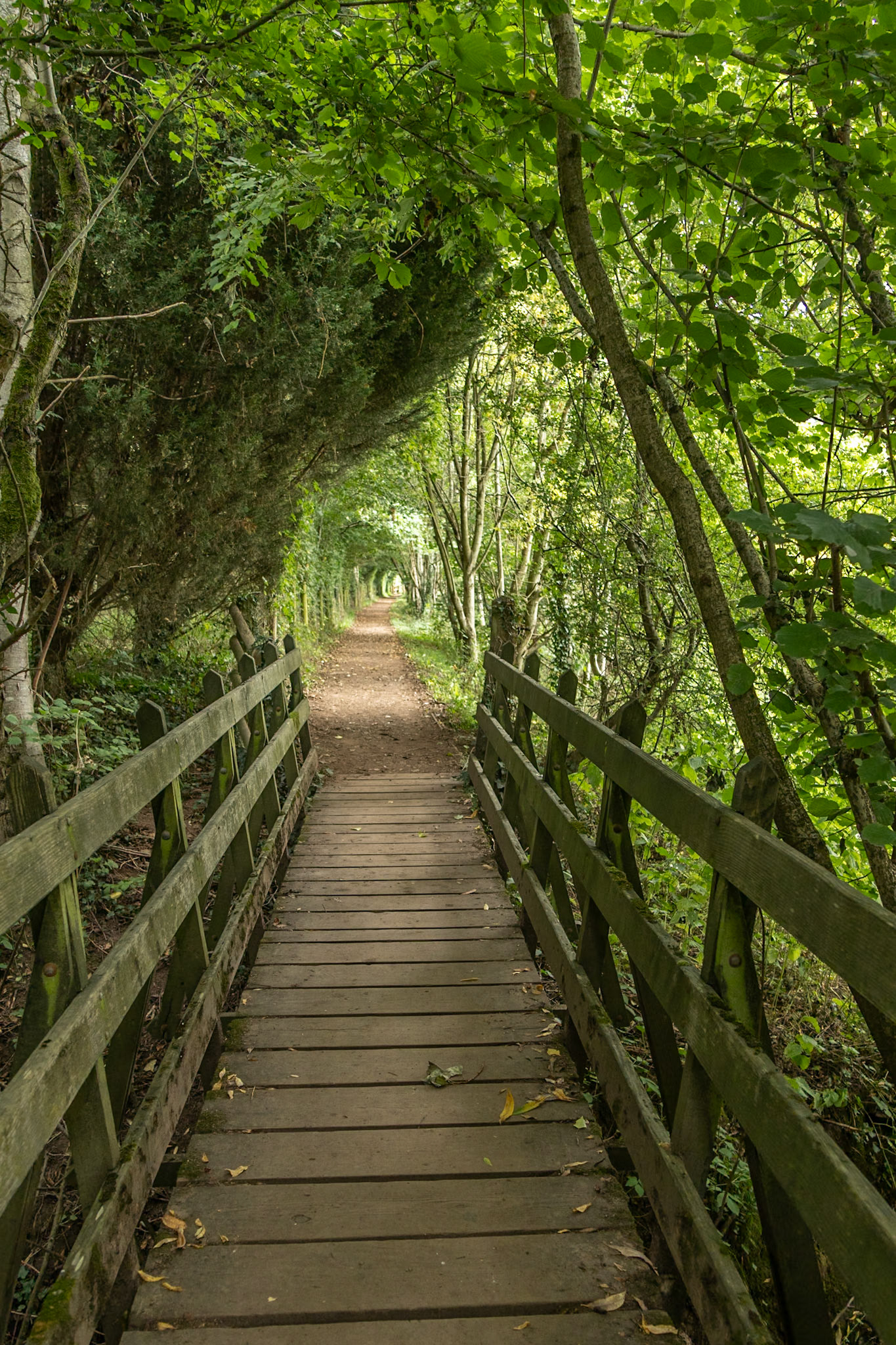 Monmouth to Symonds Yat