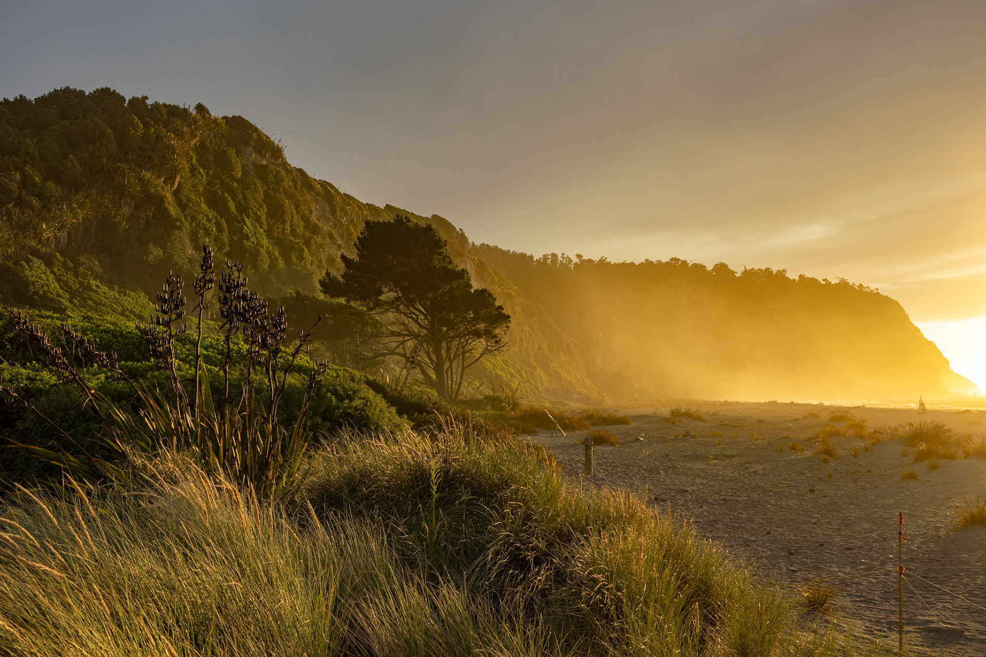 Golden hour, Okarito Beach
