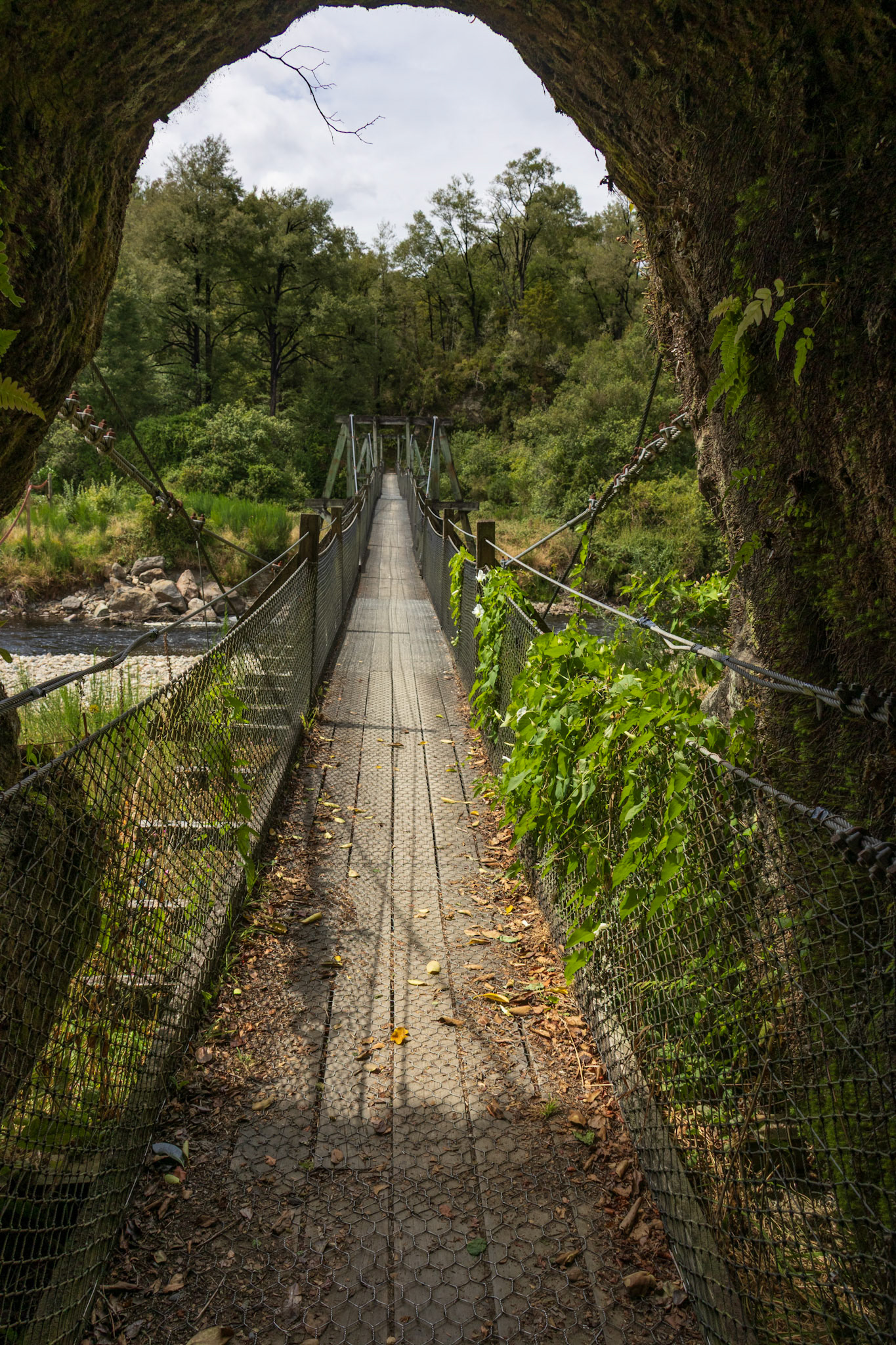 Nelson Creek bridge